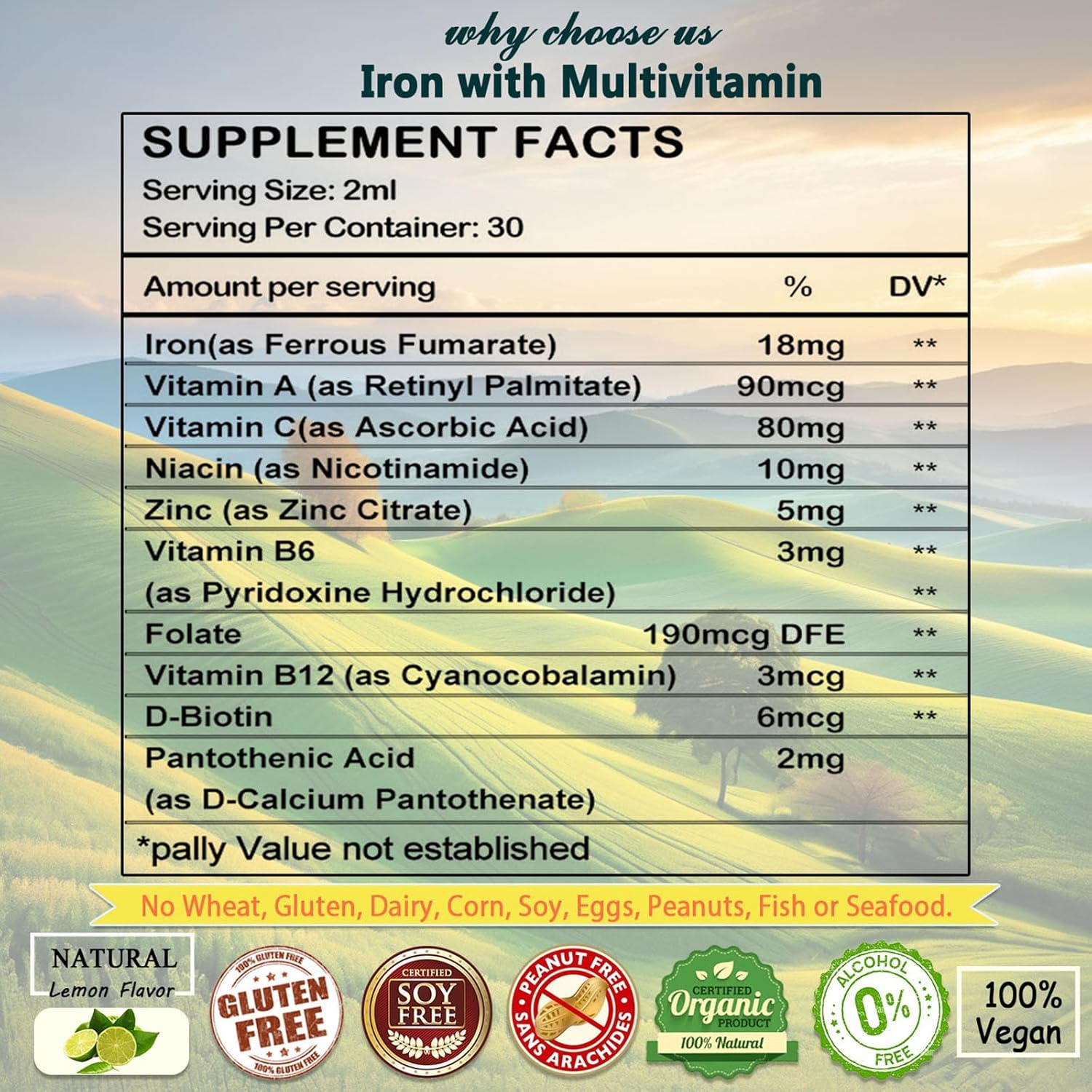 Liquid Iron Supplement with Vitamin C, B12, and B-Complex for Anemia and Fatigue - Vegan Iron Drops for Women, Men, and Kids - High Potency Blood Builder Iron Formula