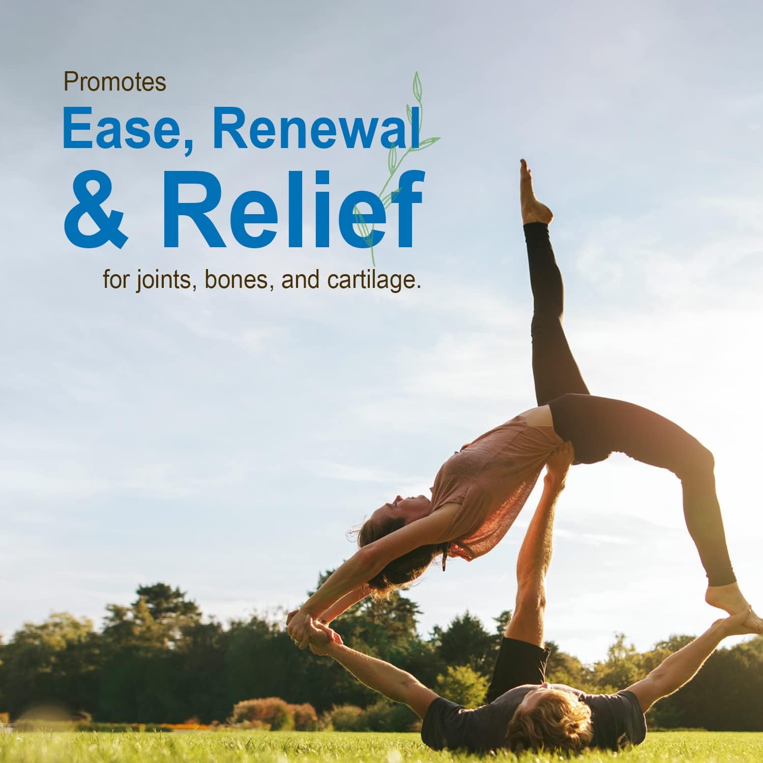 Liquid Joint Support Supplement with Fulvic Acid Trace Minerals - MSM, Glucosamine, Chondroitin, Aloe Vera, Tart Cherry, Hyaluronic Acid, Boswellia - 64 Fl Oz Pack