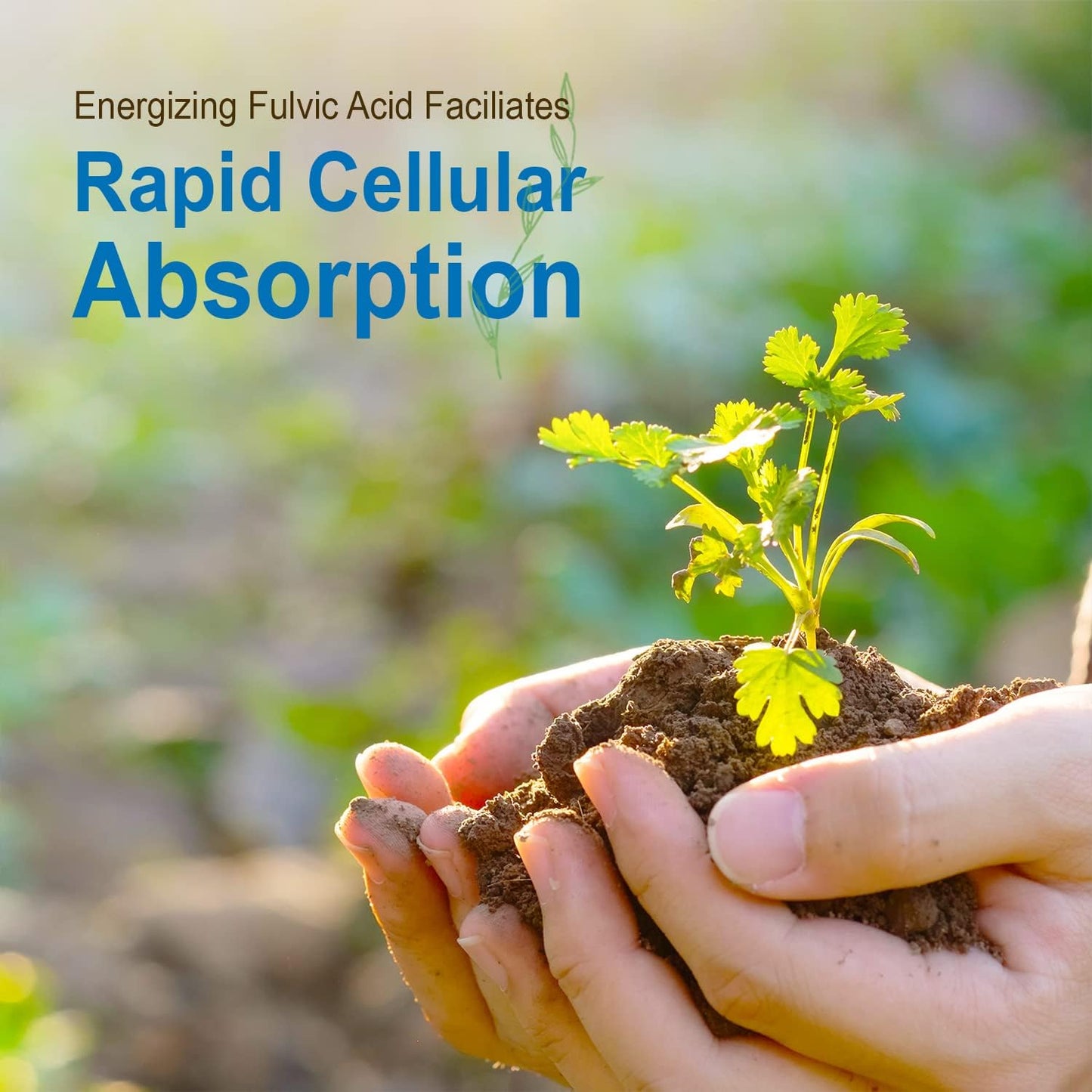 Liquid Joint Support Supplement with Fulvic Acid Trace Minerals - MSM, Glucosamine, Chondroitin, Aloe Vera, Tart Cherry, Hyaluronic Acid, Boswellia - 64 Fl Oz Pack