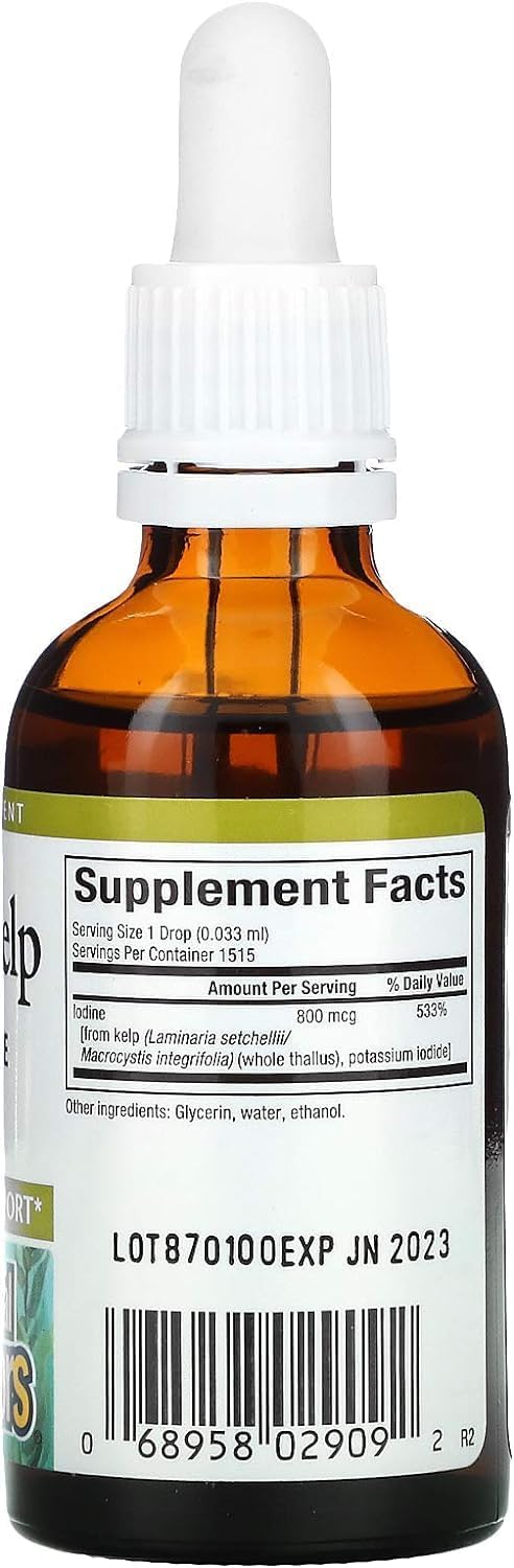Liquid Kelp Supplement, 50ml - Natural Factors, 1.6 fl oz