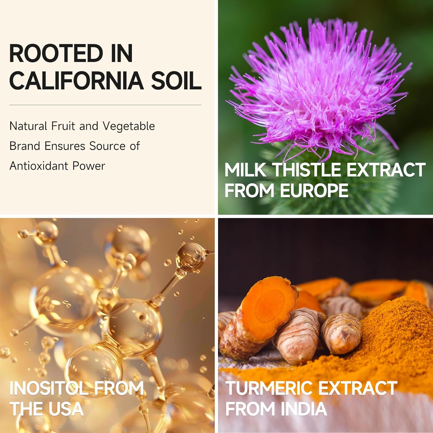 Liquid Liver Detox Drink Supplement with Milk Thistle, Artichoke, Turmeric, and Inositol - Natural Liver Health Support in Peach Flavor - 30 Sachets