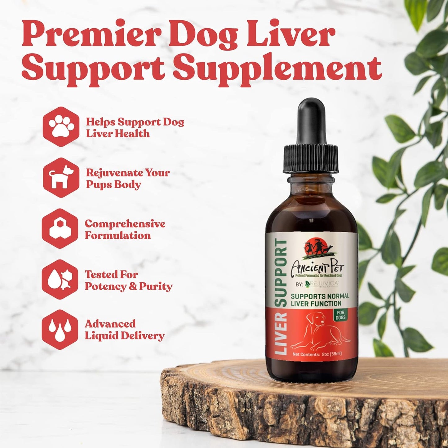 Liquid Liver Support Supplement for Dogs - Advanced Formula with Milk Thistle, Dandelion & Artichoke - Enhances Absorption - by Rejuvica Health