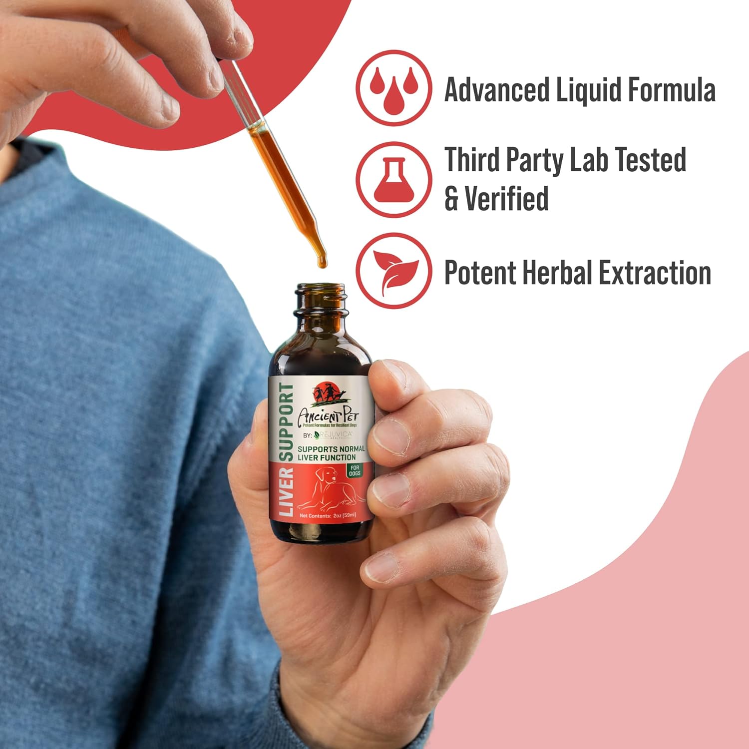 Liquid Liver Support Supplement for Dogs - Advanced Formula with Milk Thistle, Dandelion & Artichoke - Enhances Absorption - by Rejuvica Health