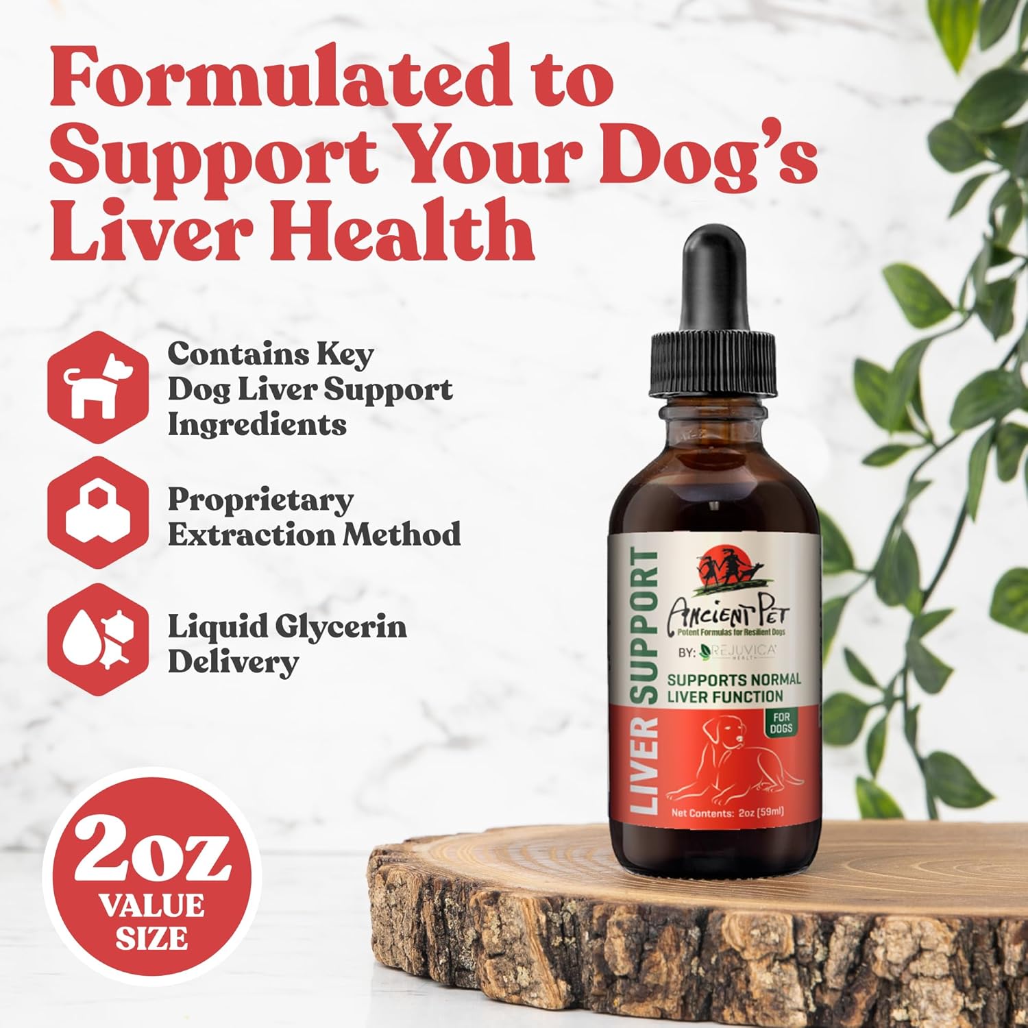 Liquid Liver Support Supplement for Dogs - Advanced Formula with Milk Thistle, Dandelion & Artichoke - Enhances Absorption - by Rejuvica Health