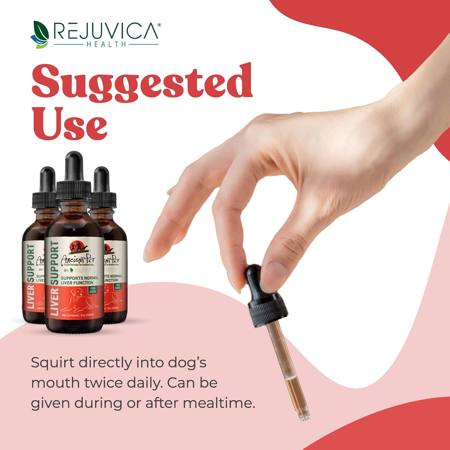 Liquid Liver Support Supplement for Dogs - Advanced Formula with Milk Thistle, Dandelion & Artichoke - Enhances Absorption - by Rejuvica Health