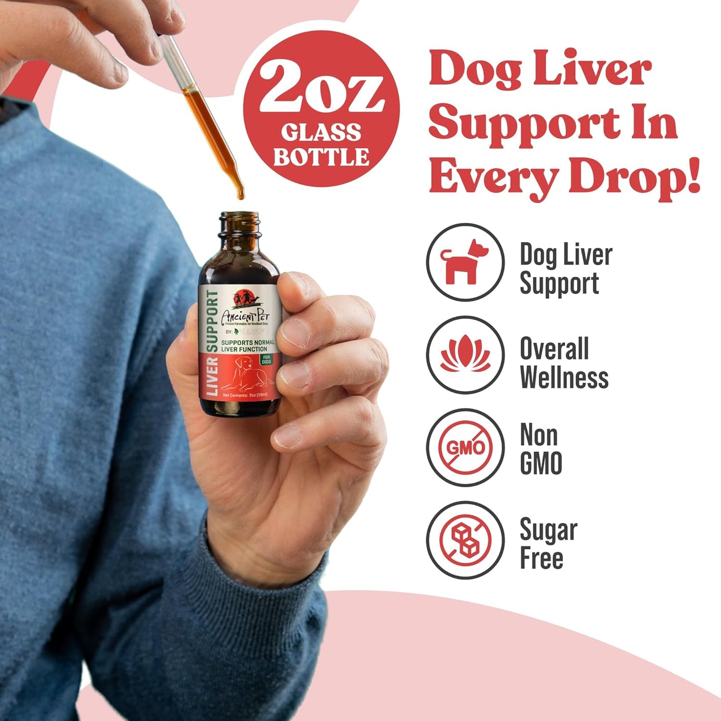 Liquid Liver Support Supplement for Dogs - Advanced Formula with Milk Thistle, Dandelion & Artichoke - Enhances Absorption - by Rejuvica Health