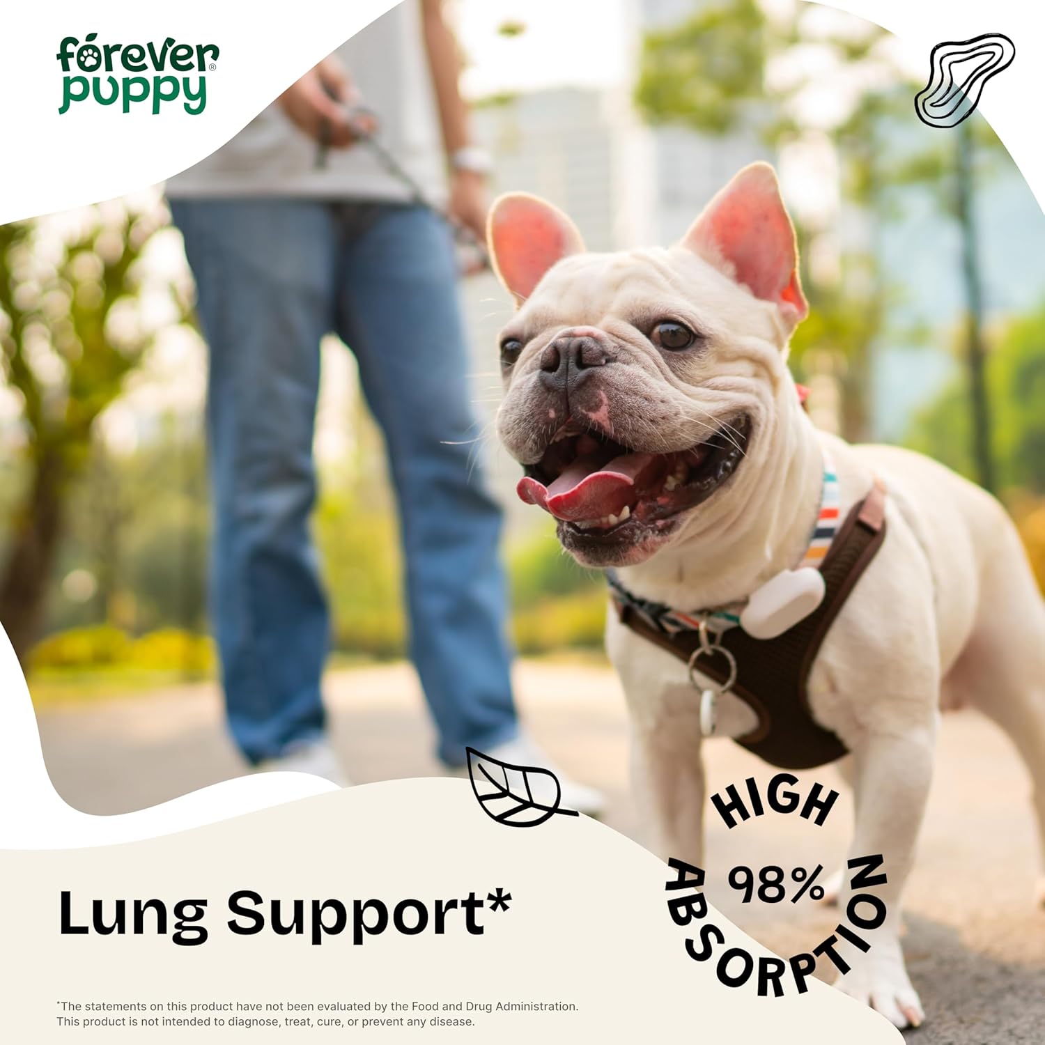 Liquid Lung Support Drops for Dogs - Natural Respiratory Health Supplements - with Mullein Leaf & Echinacea - 4 fl oz Bottle