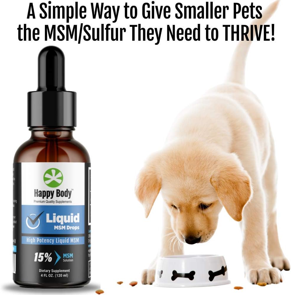 Liquid MSM Drops with Highest MSM Content | Ideal for Oral & Topical Use | 4 fl. oz Bottle (2 Pack)