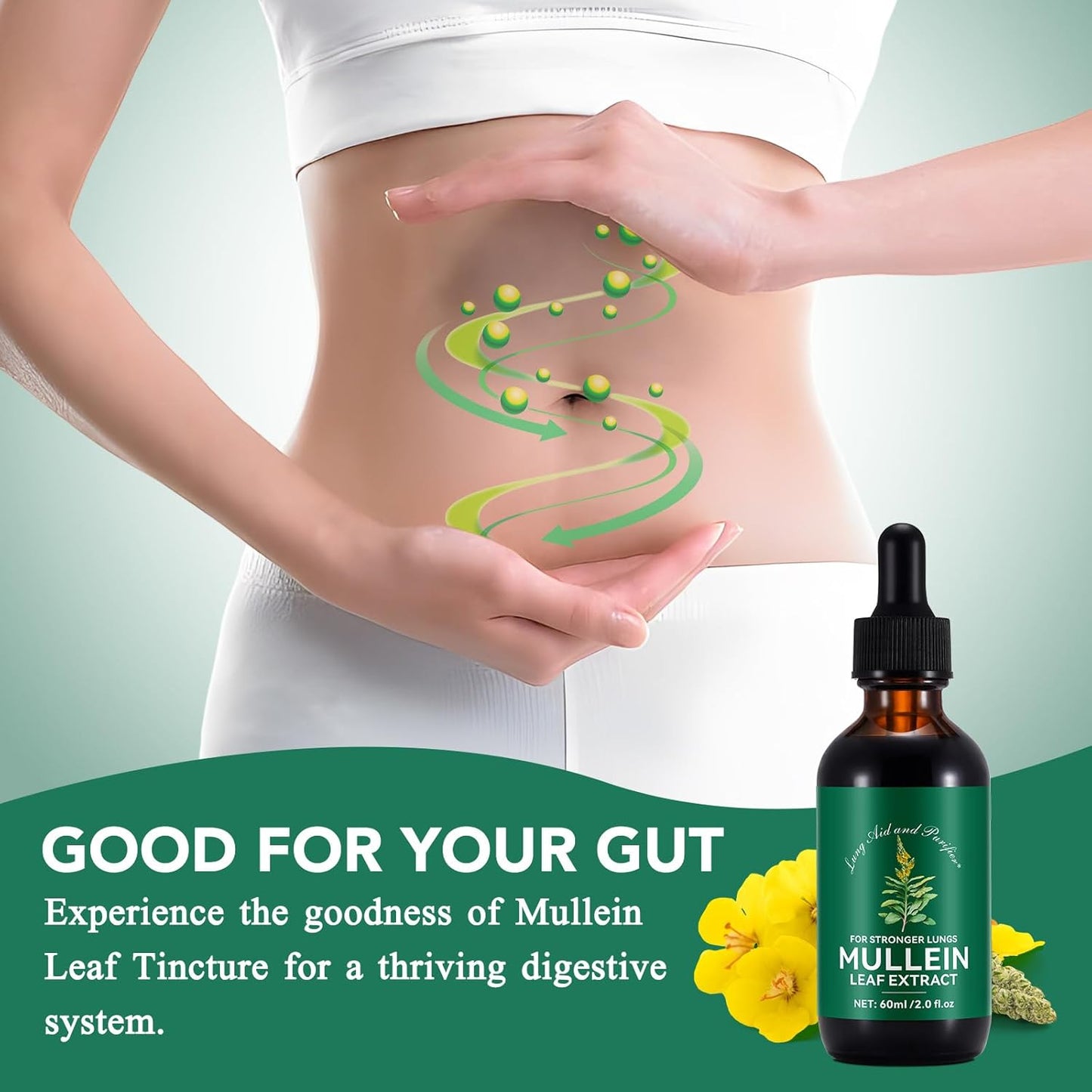 Liquid Mullein Lung Cleanse Drops - 2 Fl Oz Natural Extract Supplement - Fast Absorption, 1 Month Supply - Respiratory Support