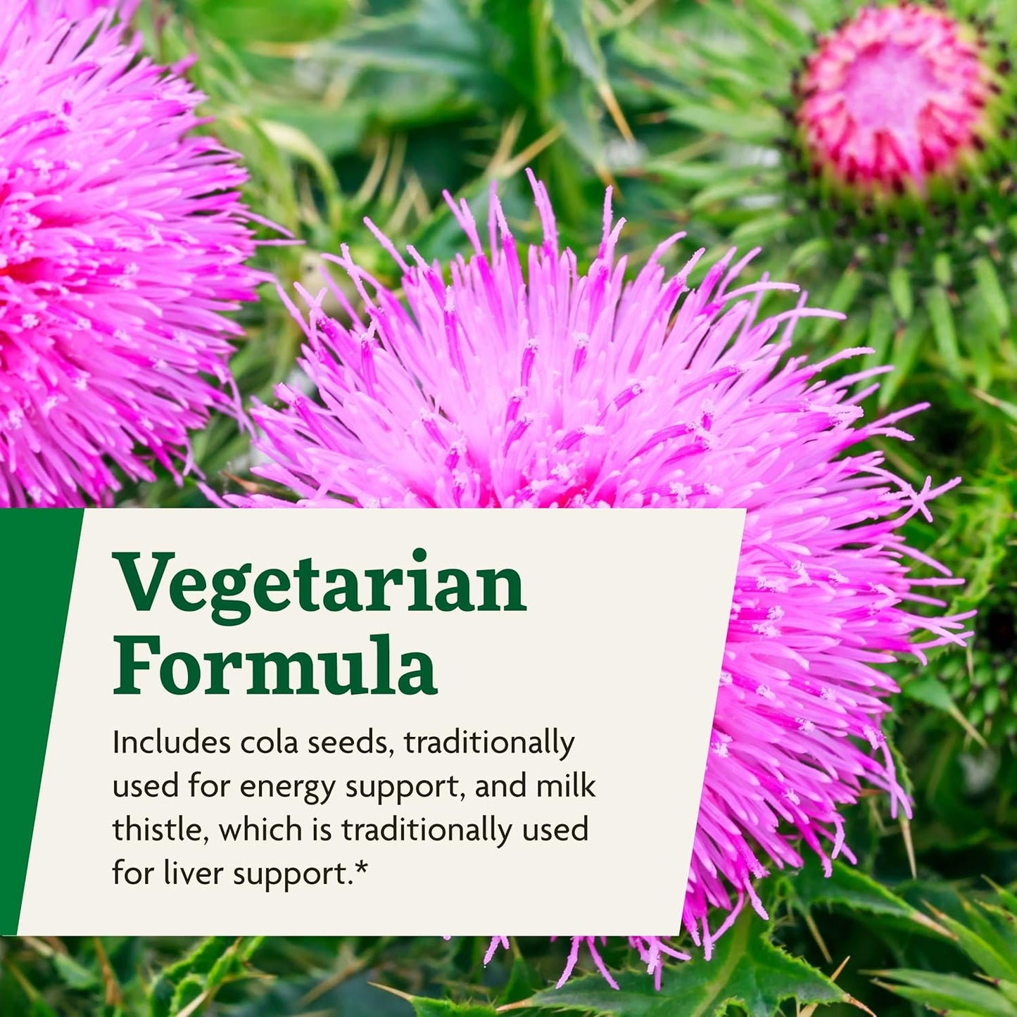 Liquid Multivitamin with Vitamin A, Milk Thistle & More for Energy & Liver Health - Vegetarian, Non-GMO - 17 fl oz Bottle