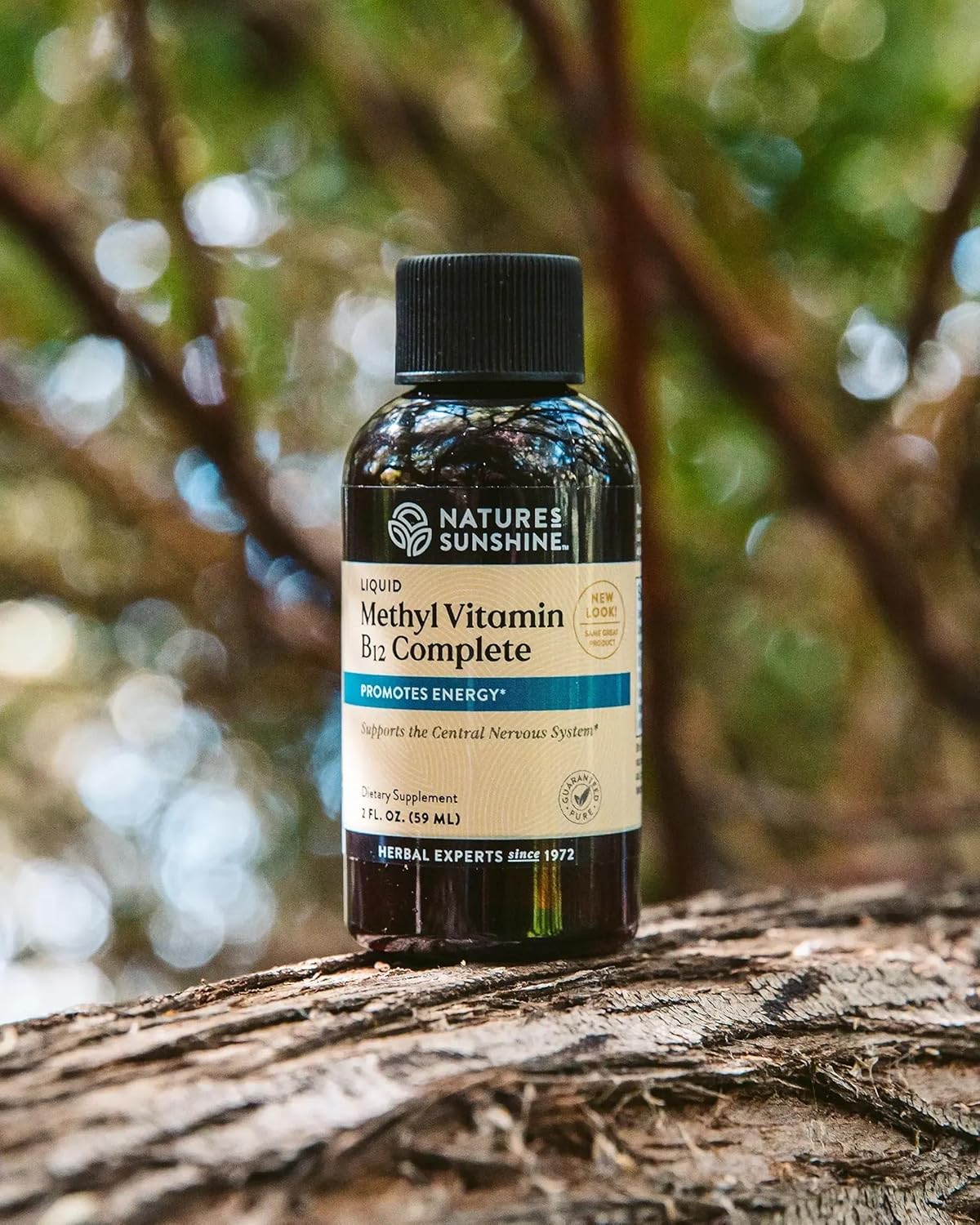 Liquid Nature's Sunshine Methyl B-12 Complete - Energy & Immune Support - 1,000 mcg B12 - 2 fl. oz.