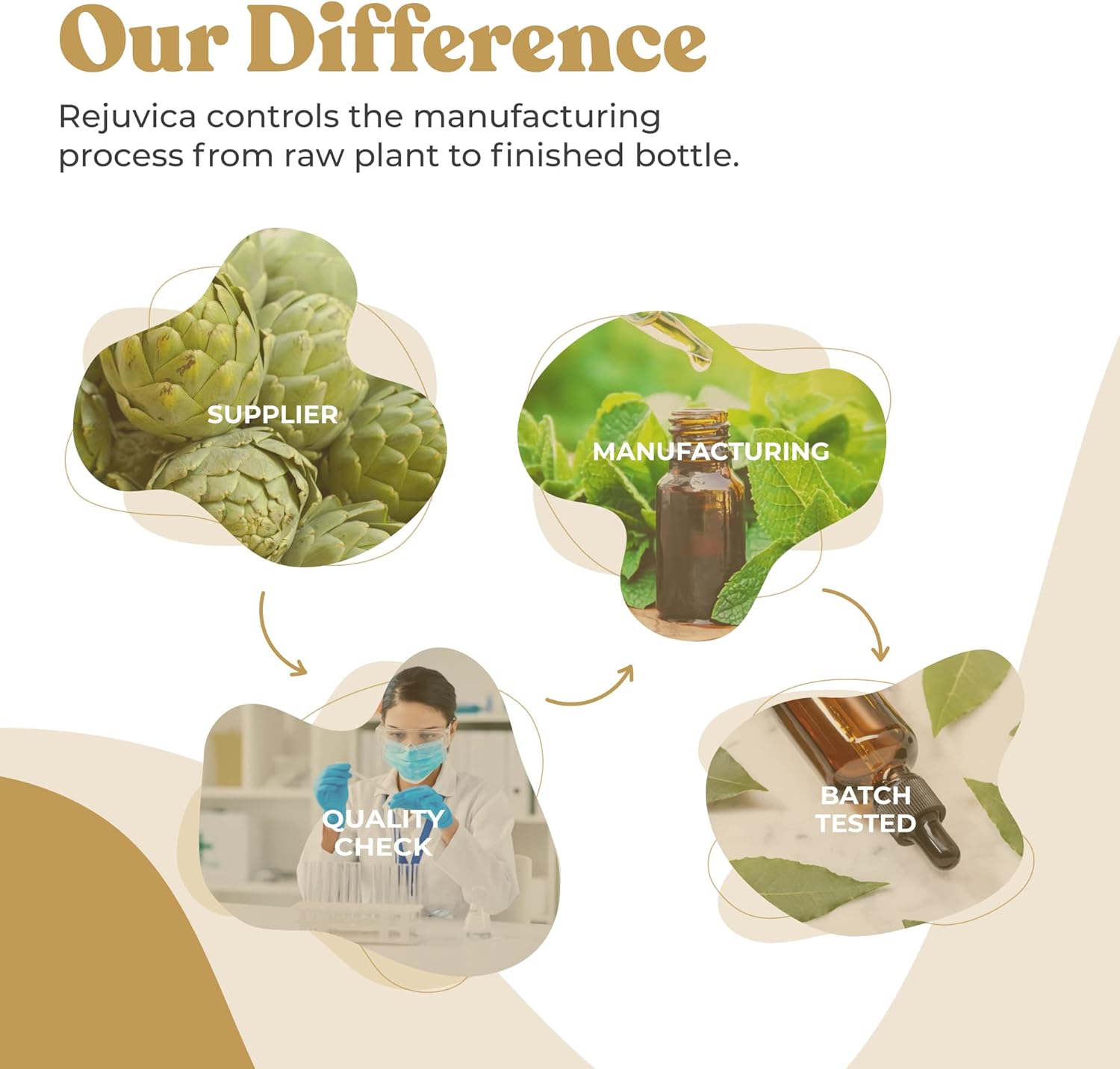 Liquid Peruvian Ginseng Extract for Energy & Vitality - Advanced Maca Root Supplement - High Absorption Formula by Rejuvica Health