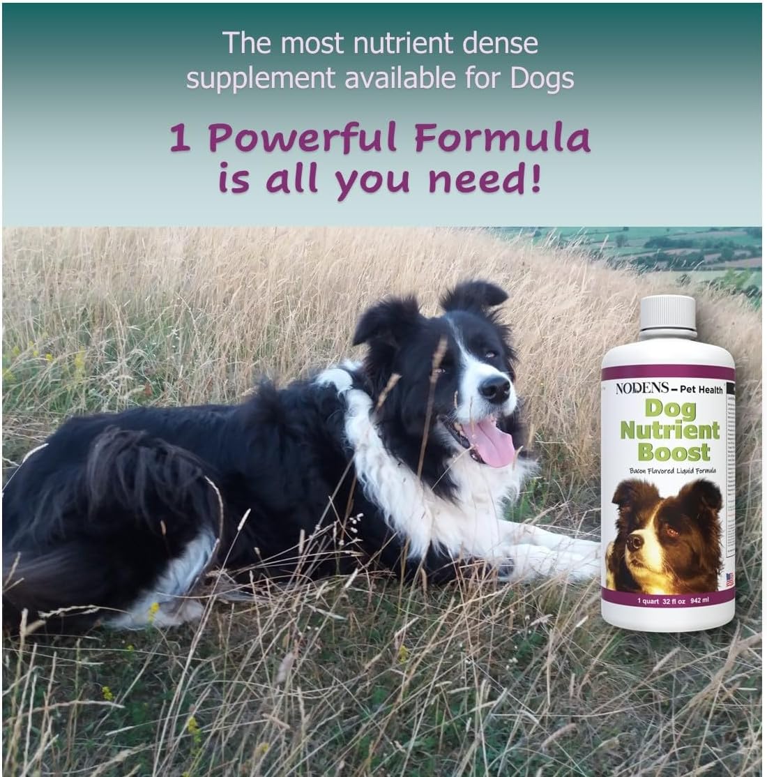 Liquid Pet Health Supplement for Dogs - Multi Vitamin, Probiotics, Antioxidants, Omega 3 Fish Oil, Immune Support - Senior Dog Multivitamin