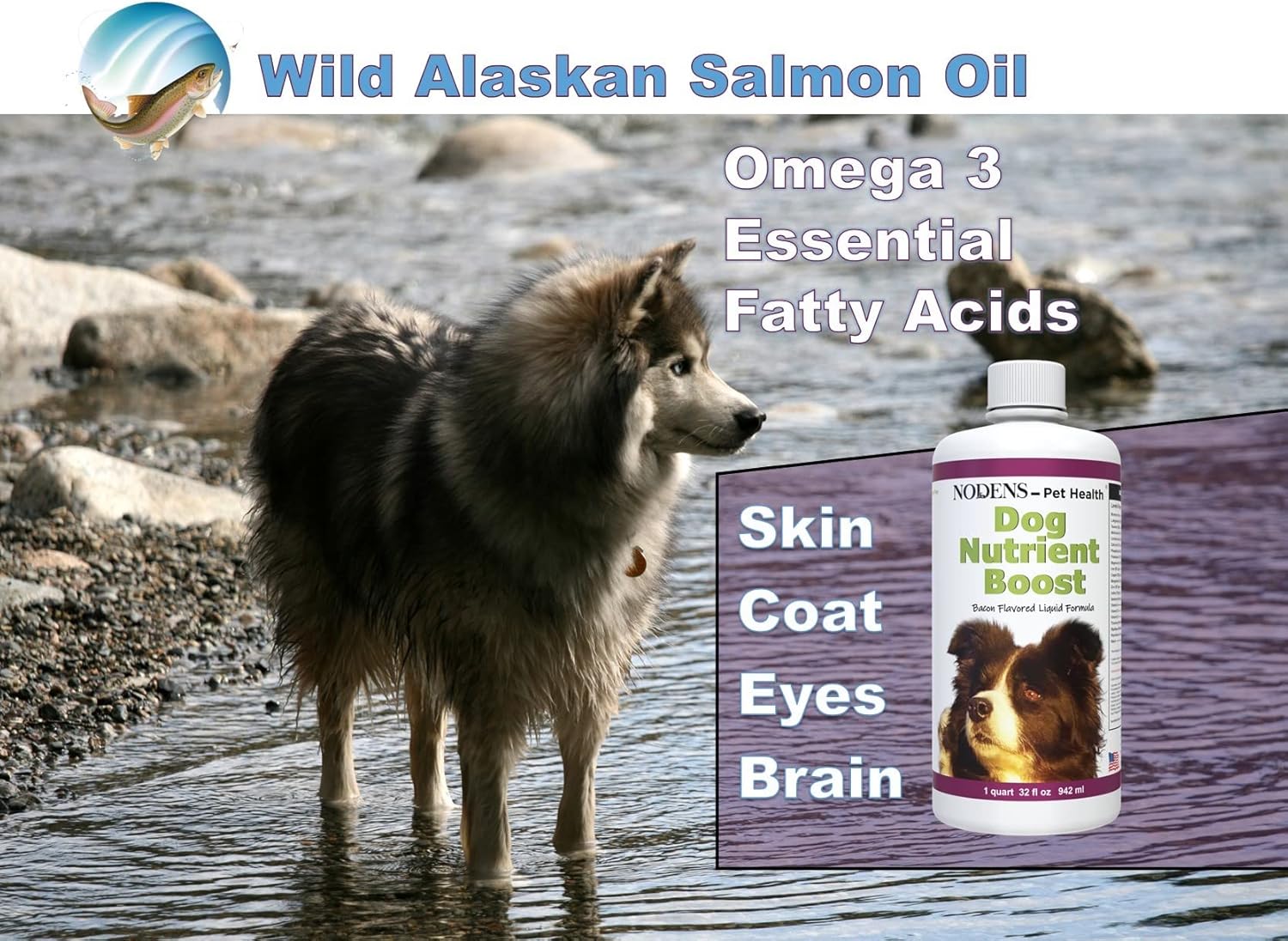 Liquid Pet Health Supplement for Dogs - Multi Vitamin, Probiotics, Antioxidants, Omega 3 Fish Oil, Immune Support - Senior Dog Multivitamin