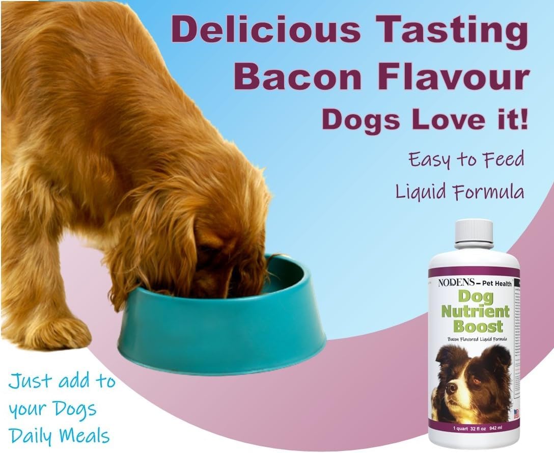 Liquid Pet Health Supplement for Dogs - Multi Vitamin, Probiotics, Antioxidants, Omega 3 Fish Oil, Immune Support - Senior Dog Multivitamin