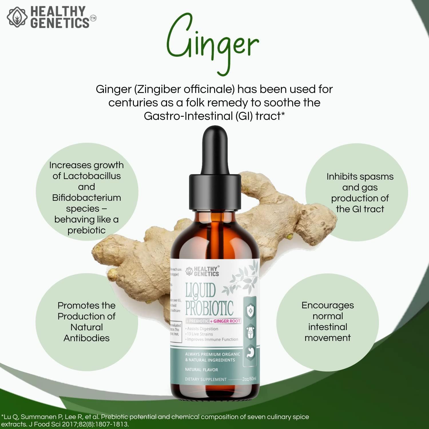 Liquid Probiotic with Prebiotic & Ginger for Digestive Health - Dairy Free, Vegan, Non-GMO - 30 Servings