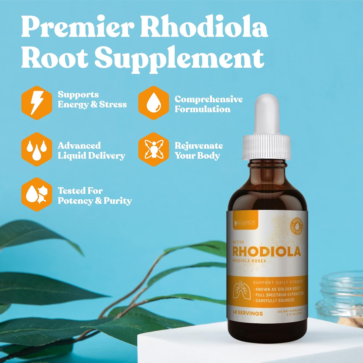 Liquid Rhodiola and Adrenal Support Supplement for Energy and Stress Relief - Enhanced Absorption Formula with Ashwagandha, Holy Basil, and More by Rejuvica Health