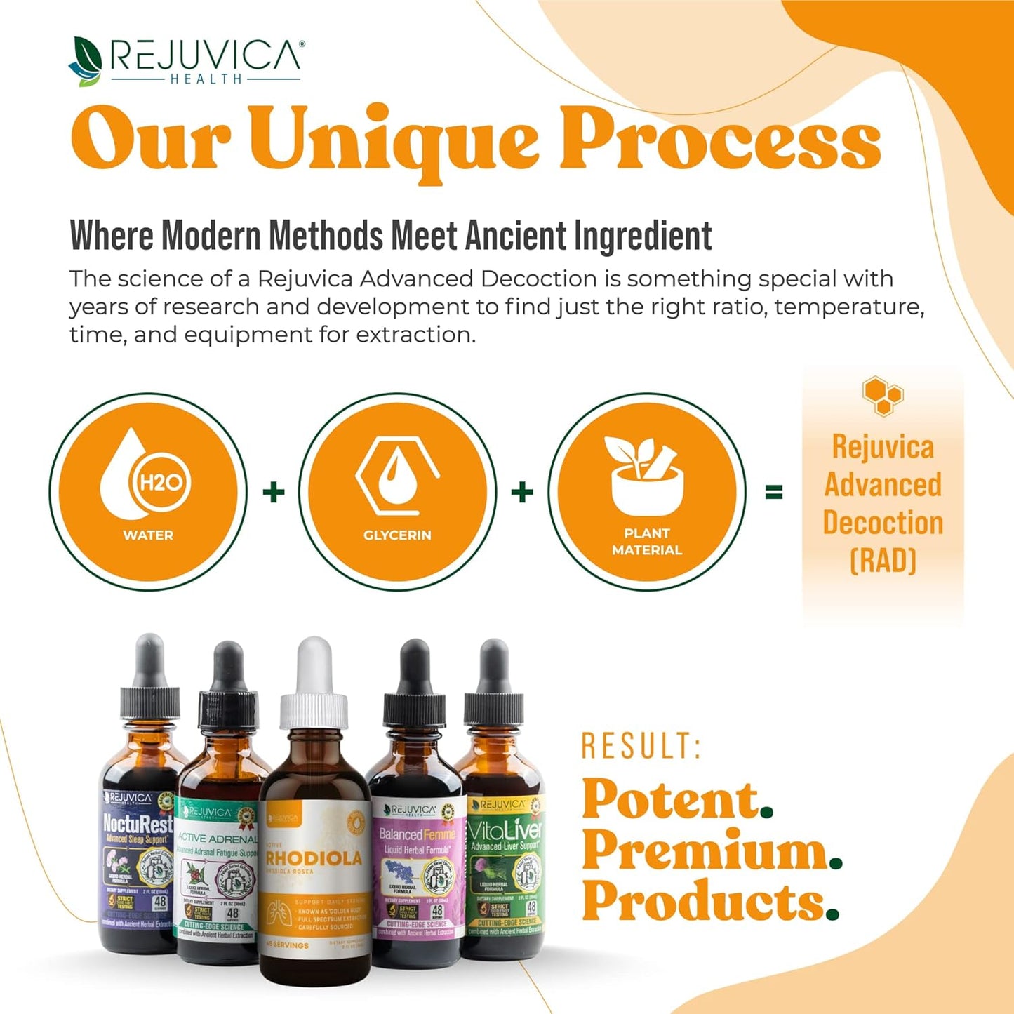 Liquid Rhodiola and Adrenal Support Supplement for Energy and Stress Relief - Enhanced Absorption Formula with Ashwagandha, Holy Basil, and More by Rejuvica Health