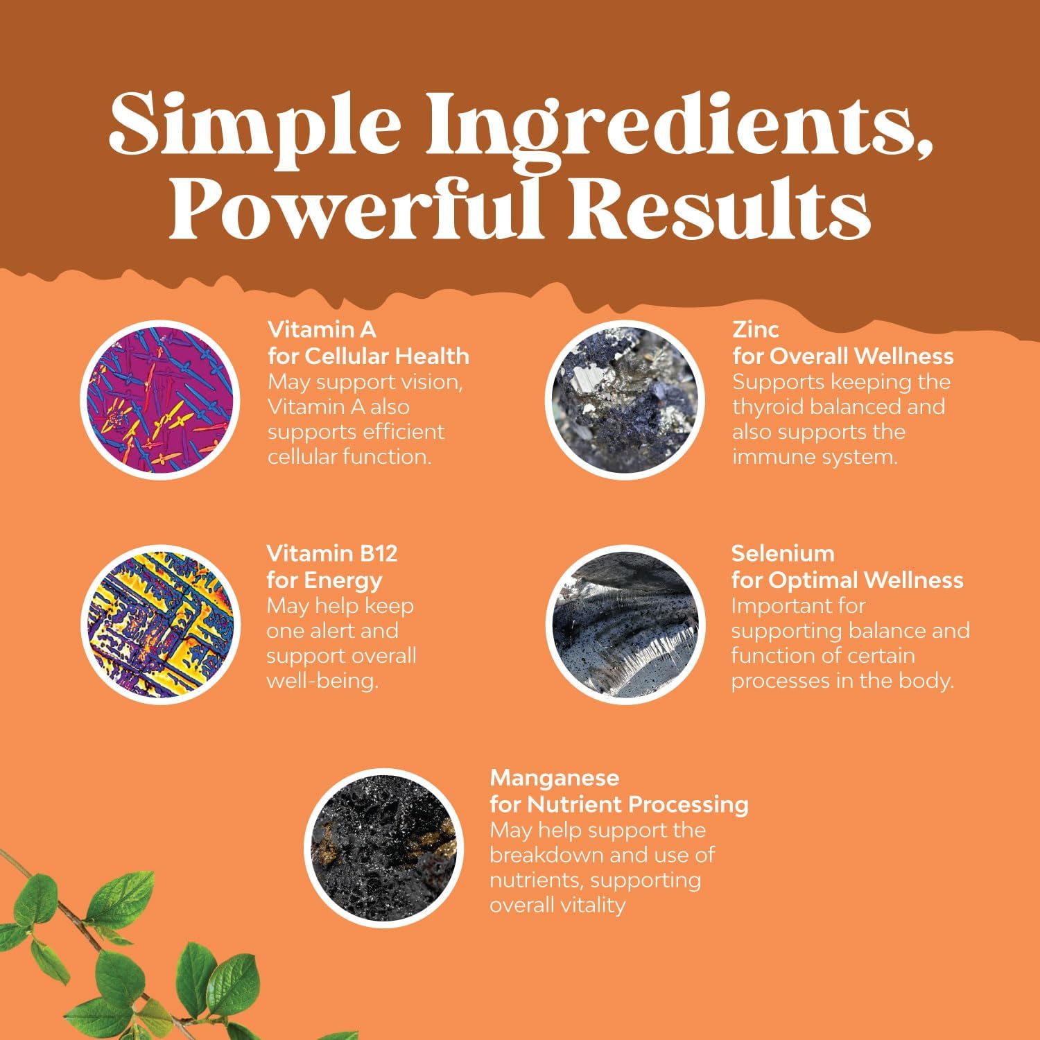 Liquid Vegan Thyroid Support Supplement with Myo-Inositol, Selenium, and Nettle - High Absorption Formula for Enhanced Energy and Focus in Men and Women