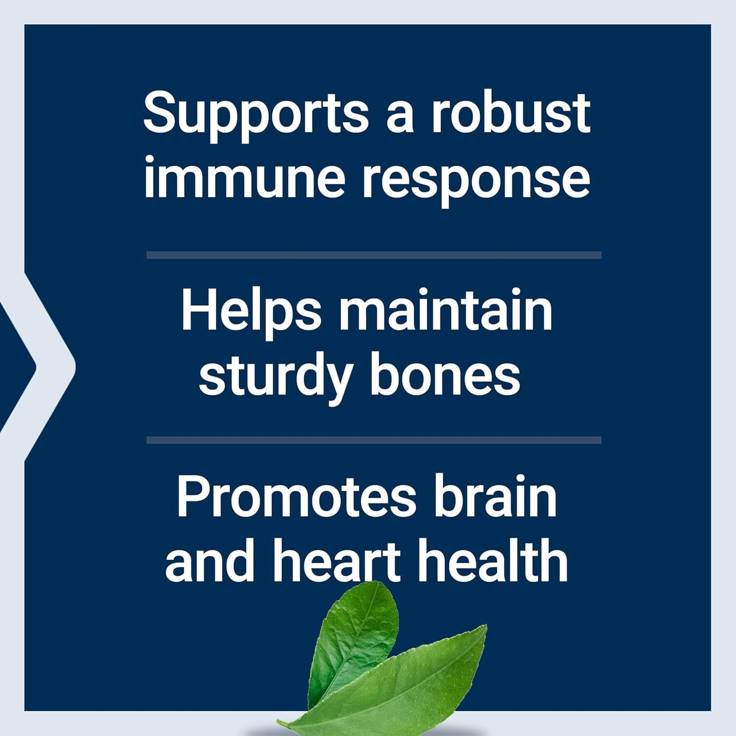 Liquid Vitamin D3 2000 IU for Immune System & Bone Health, Whole-Body Support, Unflavored, Gluten-Free, Non-GMO - 29.57 ml