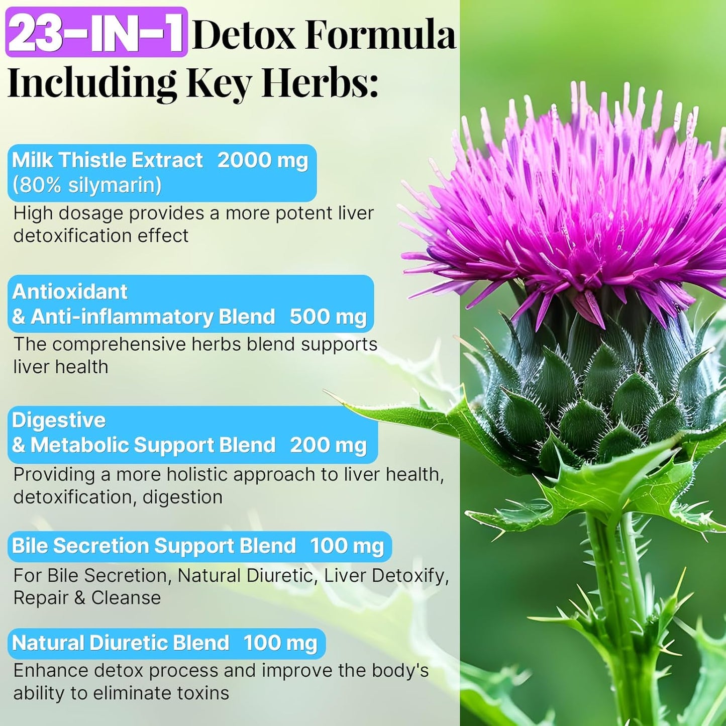 Liver Cleanse Detox Gummies with Milk Thistle, Turmeric, Dandelion Root & Artichoke - 3000mg Formula for Detox, Renewal & Antioxidant Support - Fruit Flavor, 480 Gummies