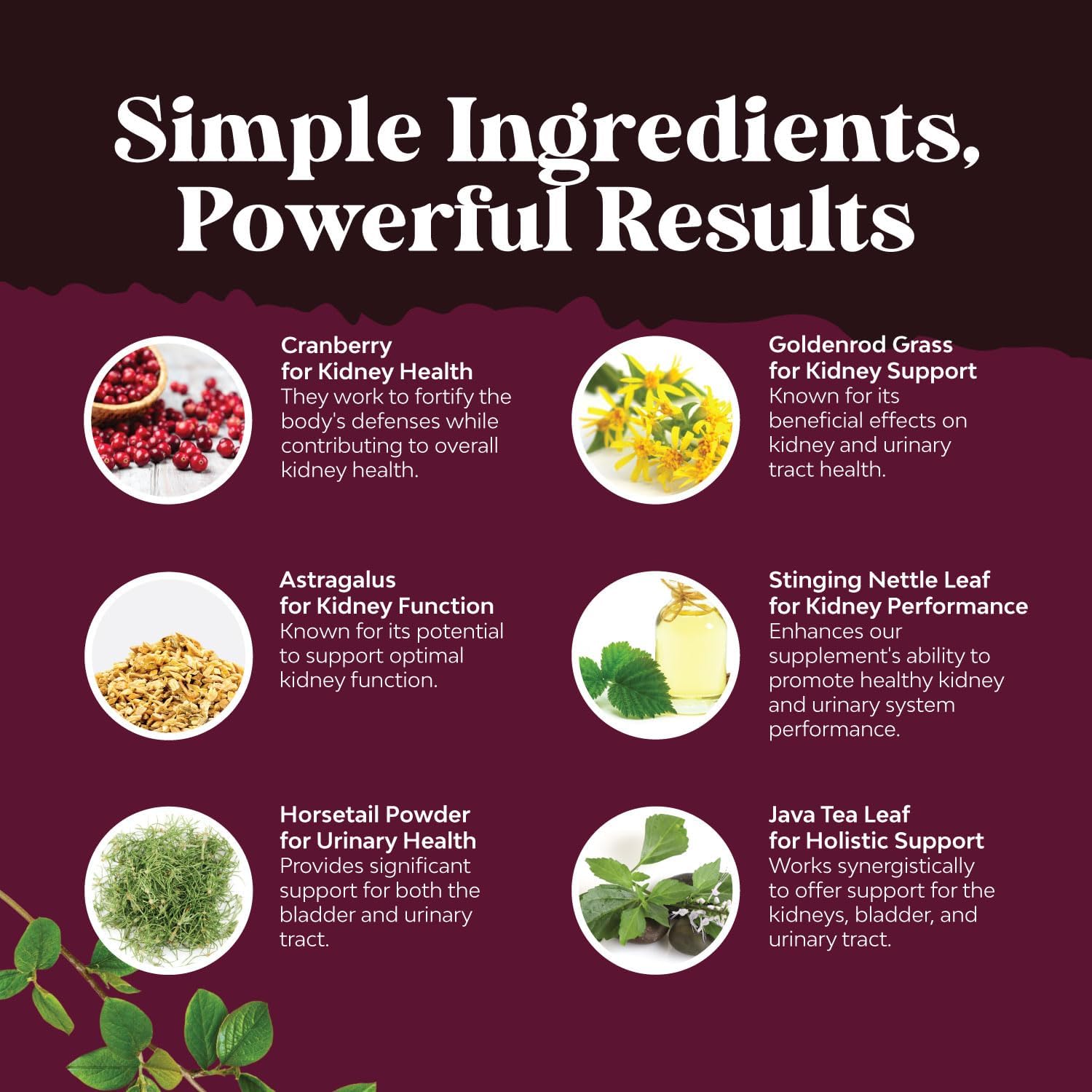 Liver Health: Liver Cleanse & Repair Bundle with Milk Thistle, Dandelion Root, Turmeric, Artichoke Extract, and Cranberry Supplement for Men and Women