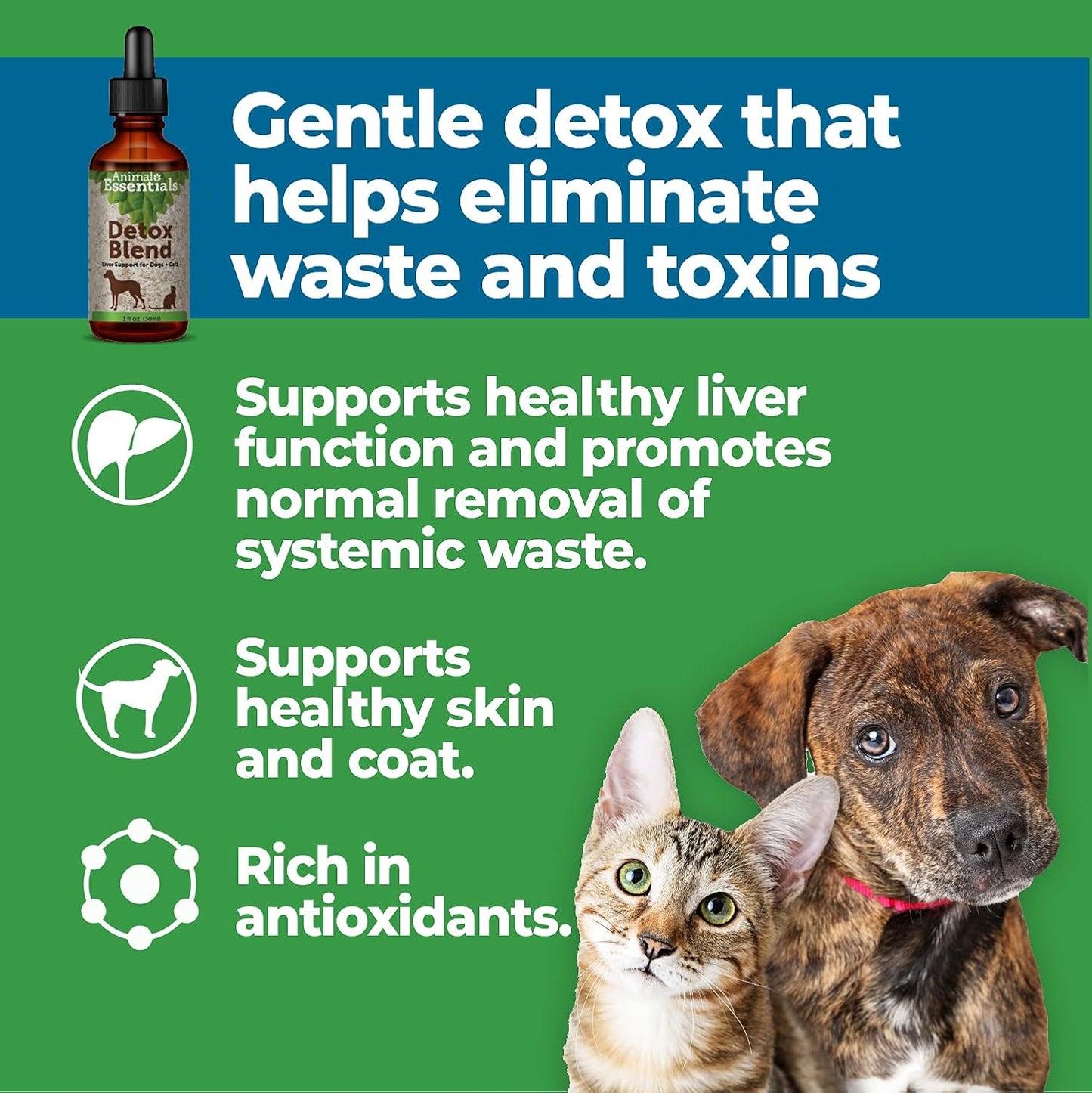 Liver Support Herbal Formula for Dogs & Cats - Animal Essentials Detox Blend, Human Grade Herbs, Wellness Tonic - 2 Fl Oz