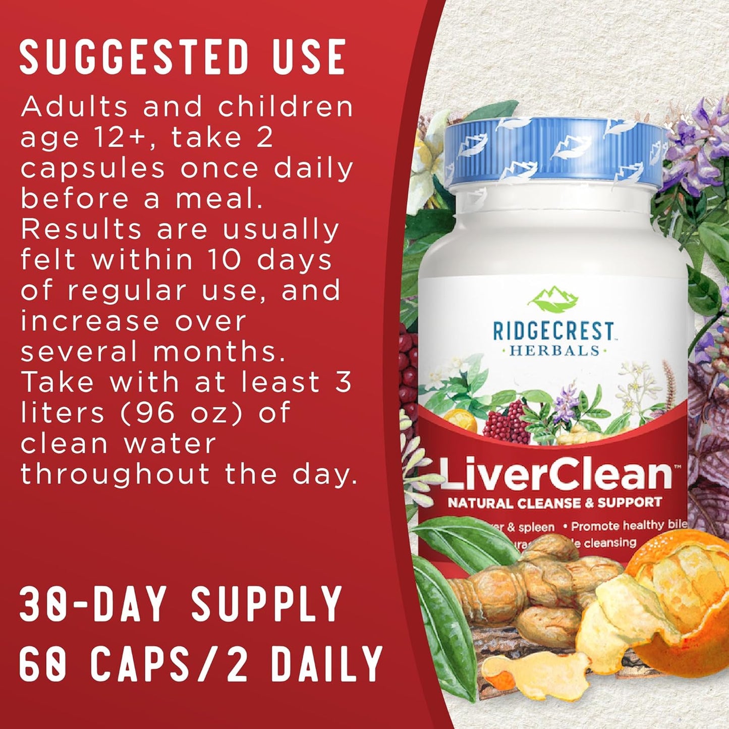 LiverClean Herbal Supplement for Liver Support with Blessed Thistle & Dandelion - Detox & Cleanse Support for Healthy Bile - 60 Capsules, 30 Servings