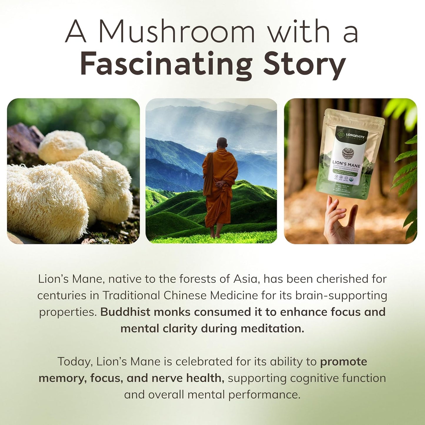 Longevity Botanicals Organic Lions Mane Mushroom Powder - 100% Fruiting Body - Enhanced Mental Clarity and Focus - 100g - BoostGo Australia