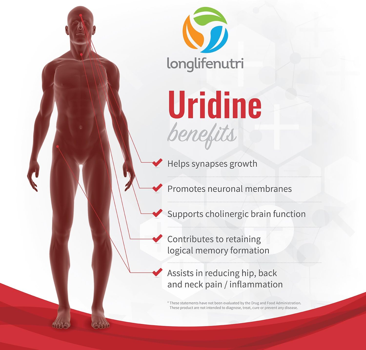 LongLifeNutri Uridine Monophosphate 300mg - 120 Veg Caps | USA-Made Brain & Memory Choline Enhancer | Supports Synapses Growth & Cognitive Health