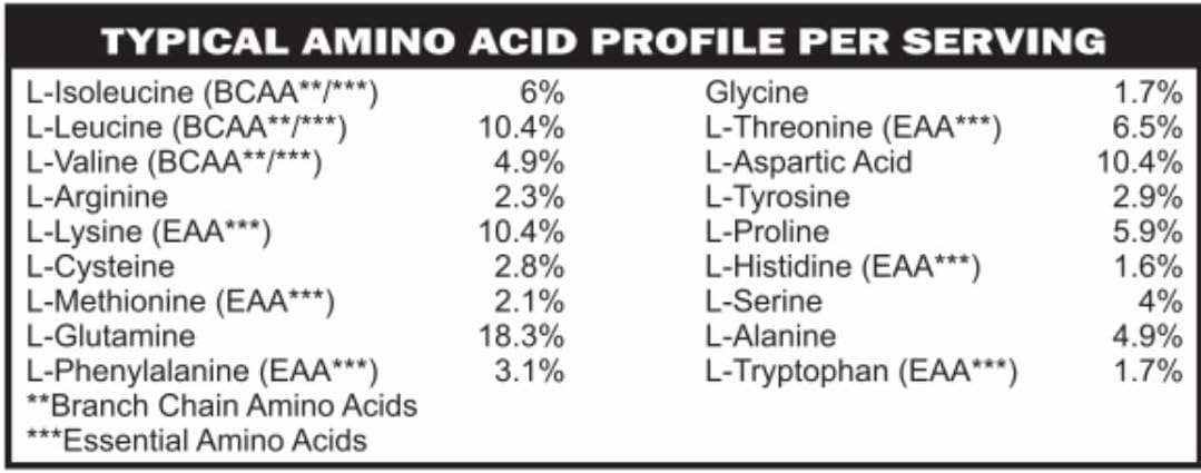 Low FODMAP Whey Protein Isolate Powder for IBS & SIBO | Digestive Enzymes | Keto & Paleo Friendly | Gluten & Grain Free | Gut Healthy Cocoa Flavor