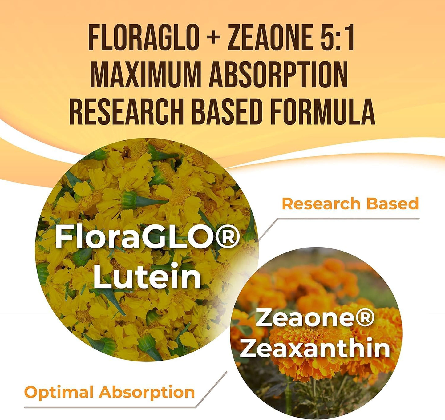 Lutein and Zeaxanthin Supplement with Astaxanthin, Maqui Berry, Bilberry, Flaxseed Oil, Vitamin E - 30 Softgels - Dry Eye Support