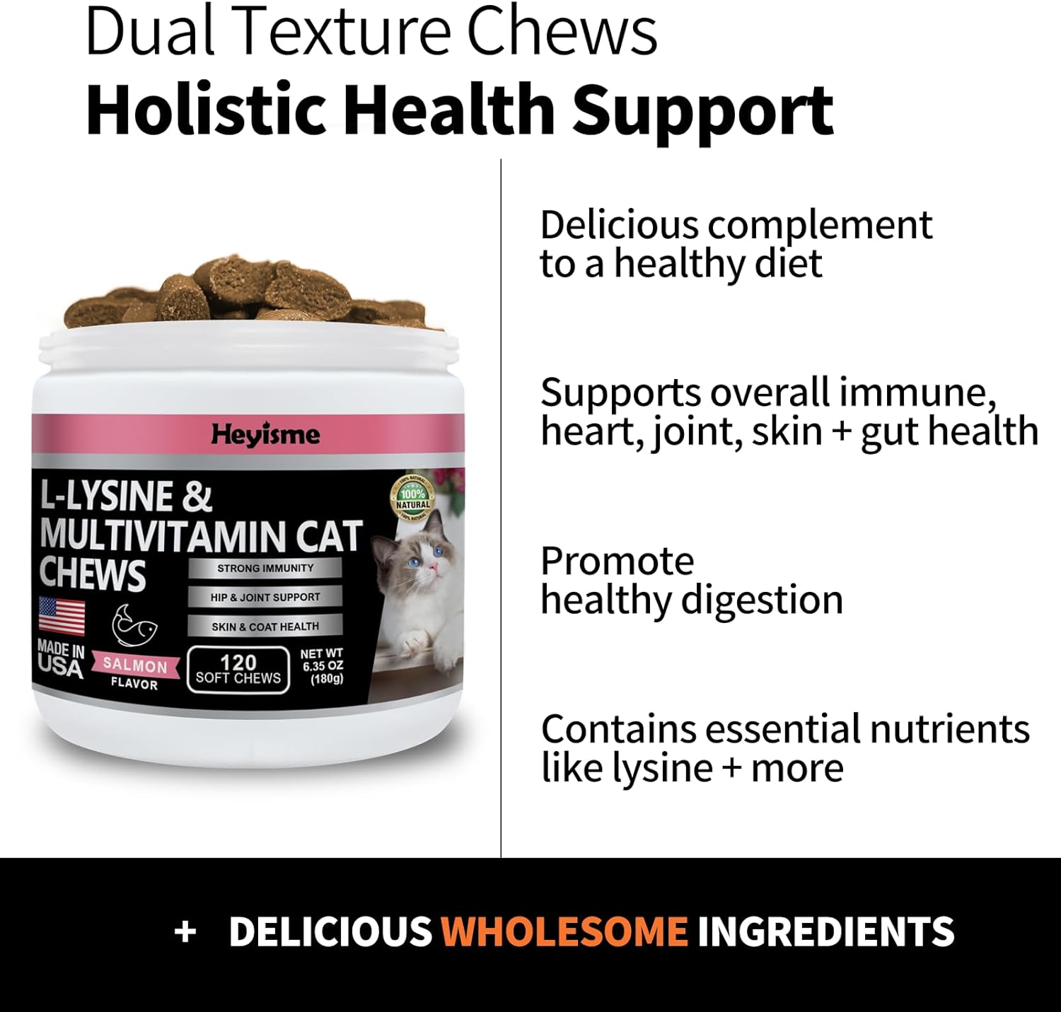 Lysine Cat Treats for Immune Support, Respiratory Health, and Eye Function - Salmon Flavored Lysine Supplement (120 Pills)