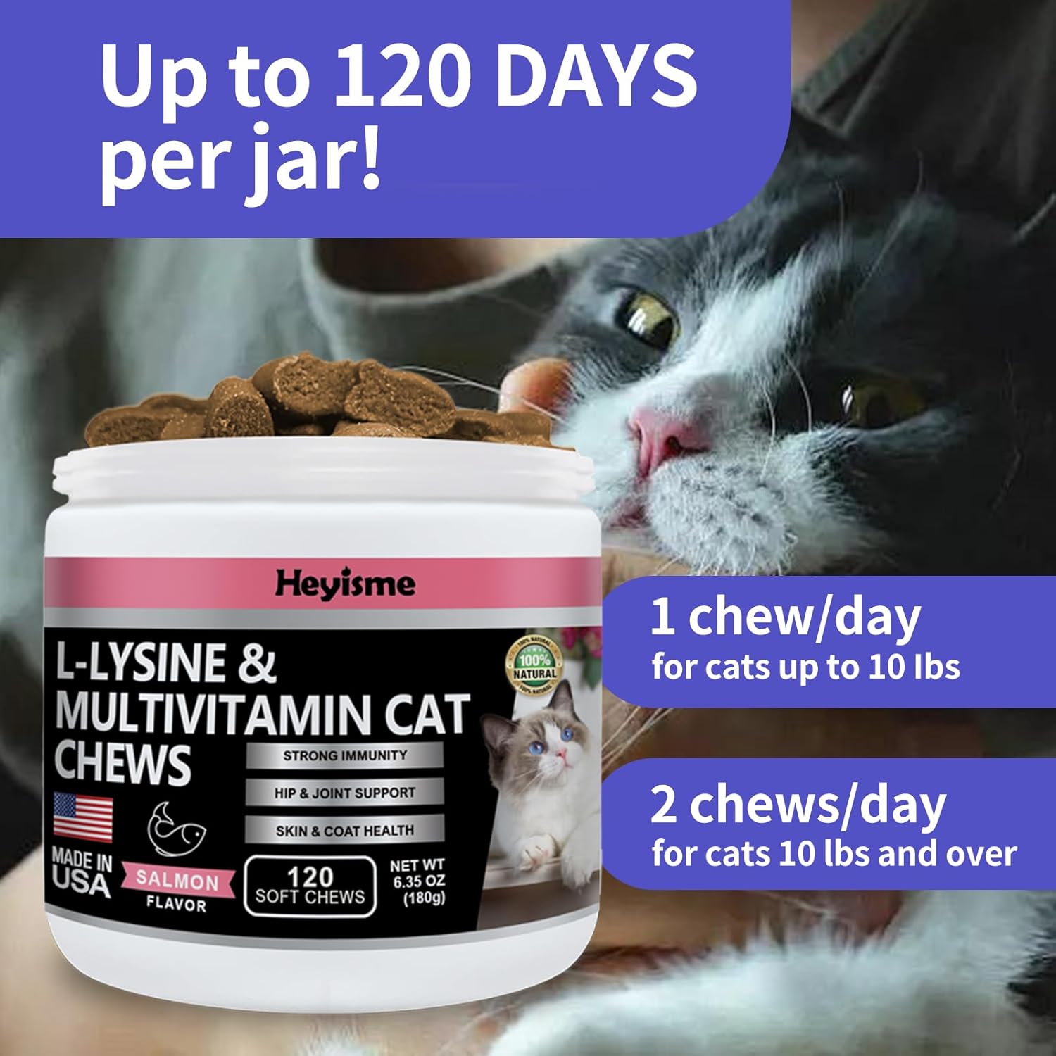 Lysine Cat Treats for Immune Support, Respiratory Health, and Eye Function - Salmon Flavored Lysine Supplement (120 Pills)