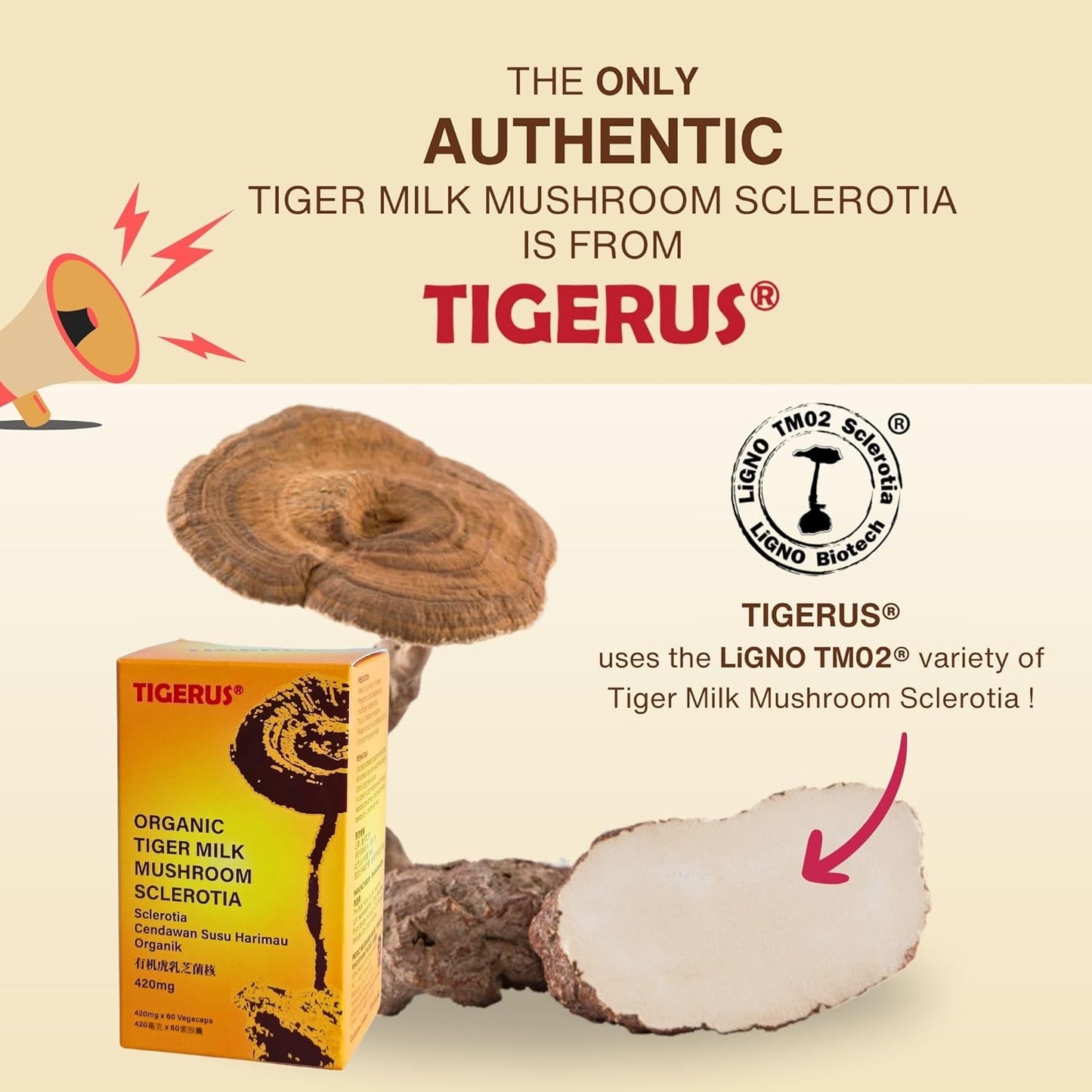 Malaysian Tiger Milk Mushroom (LiGNO TM02®) 420mg x 60 Vegecaps - Respiratory & Immune Support