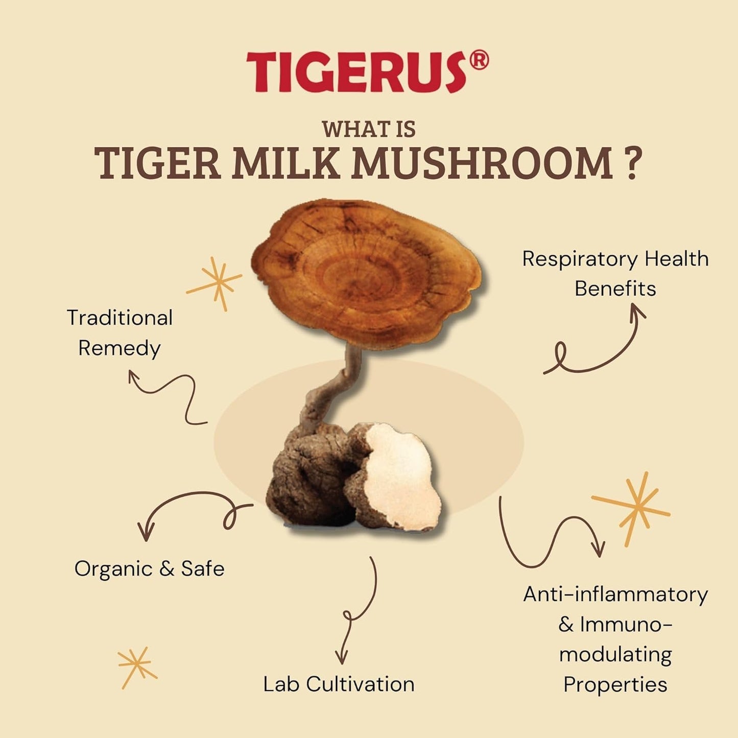 Malaysian Tiger Milk Mushroom (LiGNO TM02®) 420mg x 60 Vegecaps - Respiratory & Immune Support