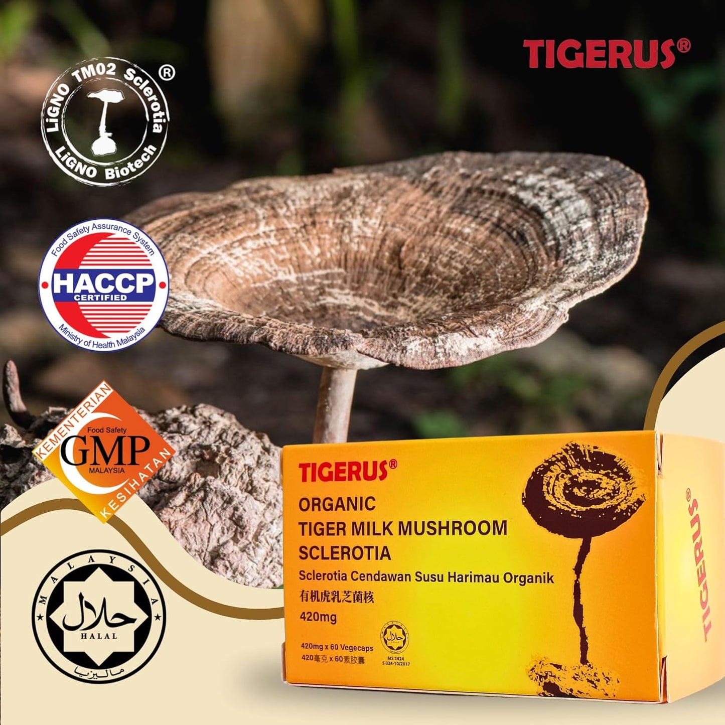 Malaysian Tiger Milk Mushroom (LiGNO TM02®) 420mg x 60 Vegecaps - Respiratory & Immune Support
