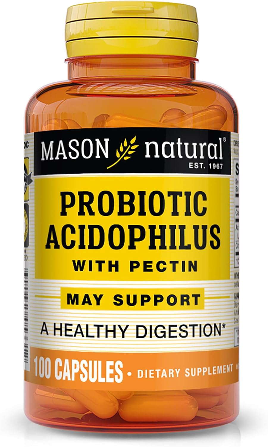 Mason Natural Acidophilus with Pectin Capsules - 100 Count, Digestive Support