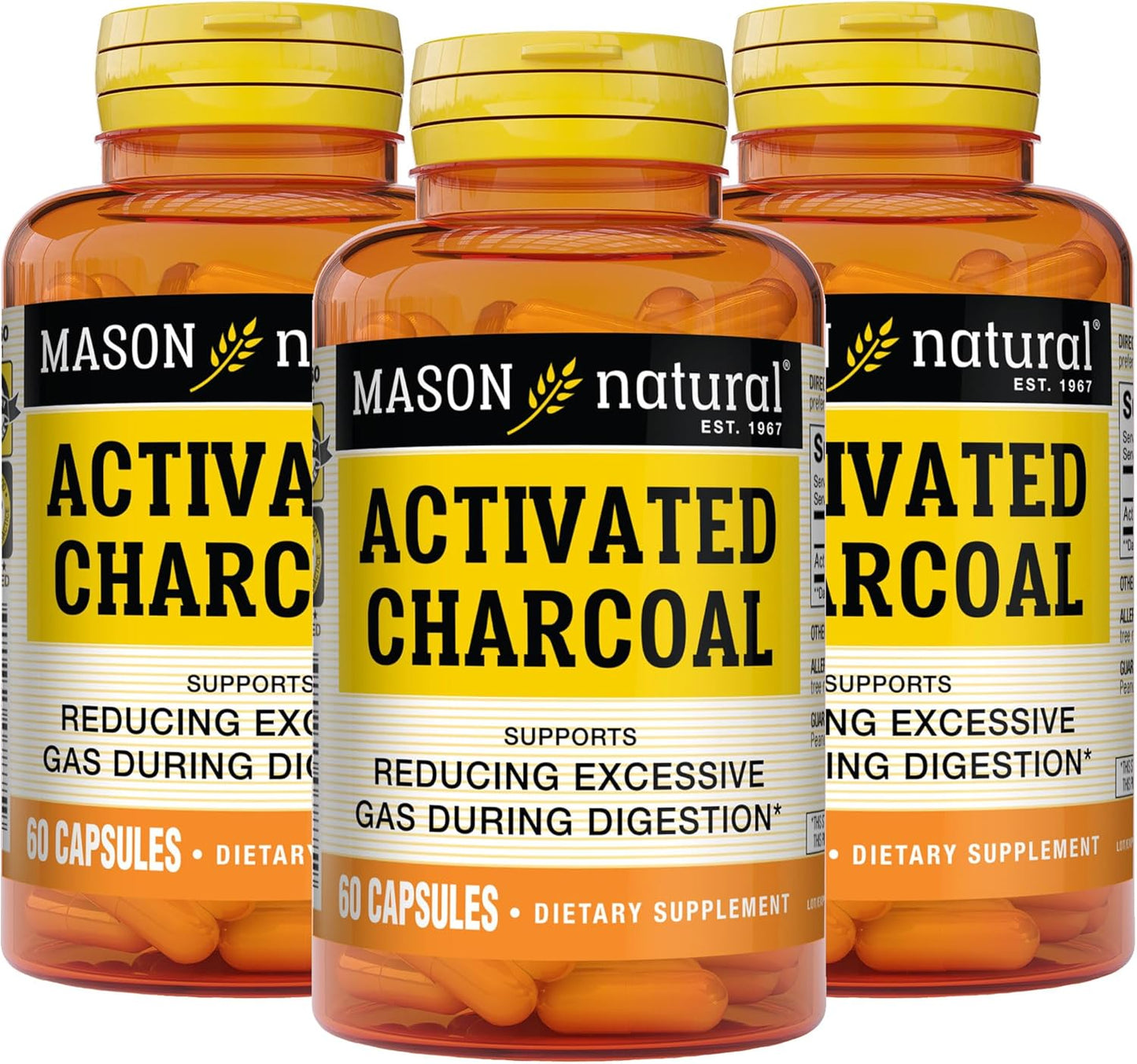 MASON NATURAL Activated Charcoal Capsules - Relieves Gas, Bloating, and Supports Detox - Highly Absorbent Supplement, 180 Capsules