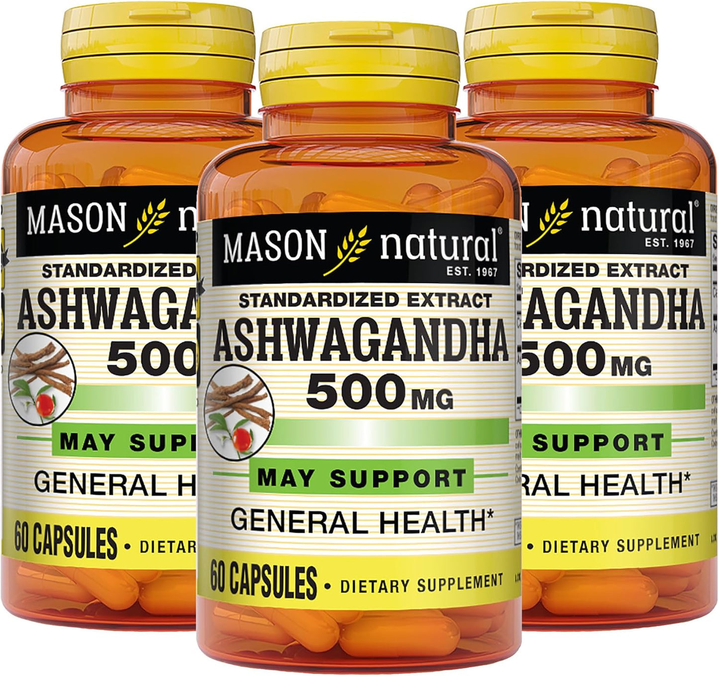 MASON NATURAL Ashwagandha 500mg Herbal Supplement - Stress & Energy Support - 180 Capsules