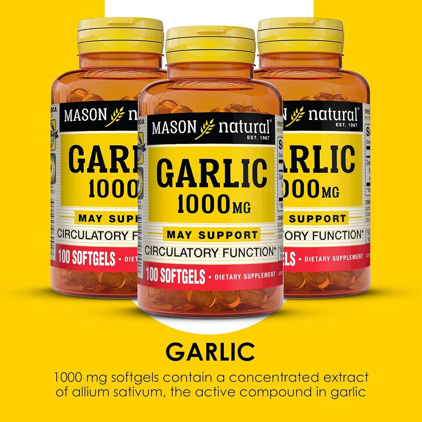 MASON NATURAL Garlic Oil Softgels 1000mg - 300-Day Supply (3 Pack) for Circulatory Health