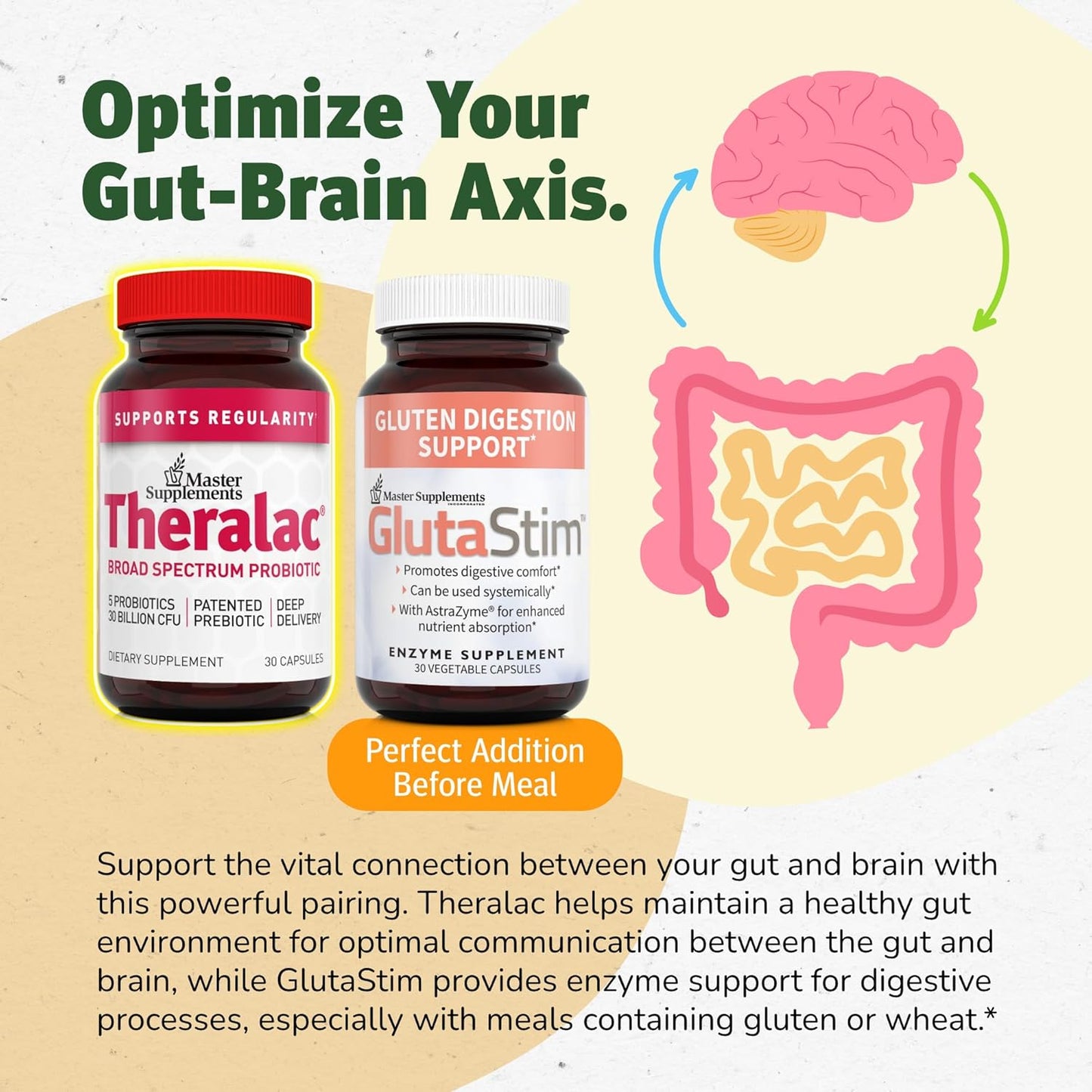 Master Supplements Theralac - 60 Capsules Total - Multi-Strain Probiotic for Gut Health, Gas, and Bloating - Gluten Free - 60 Servings