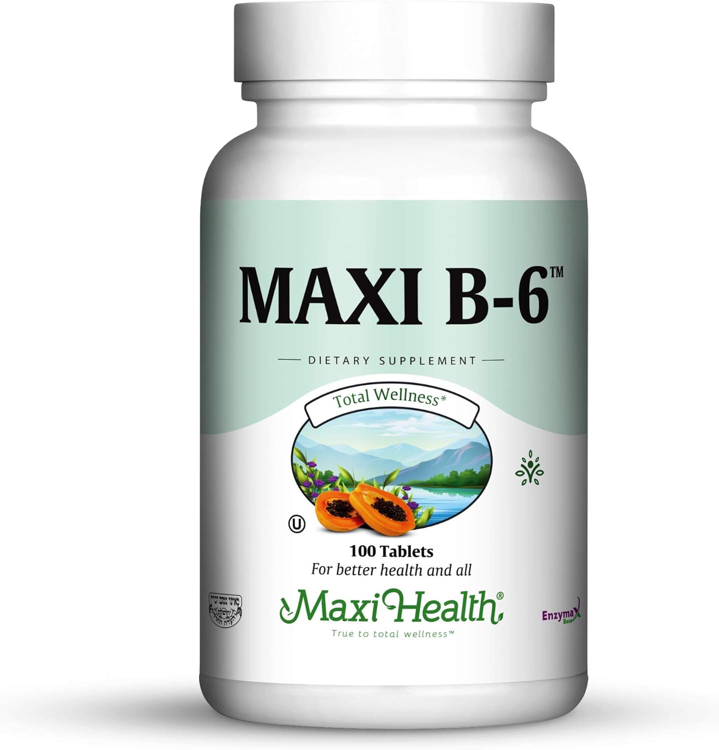Maxi Health B-6 100mg Vitamin B6 Tablets for Cardiovascular Health - Kosher (100 Count, 2 Pack)
