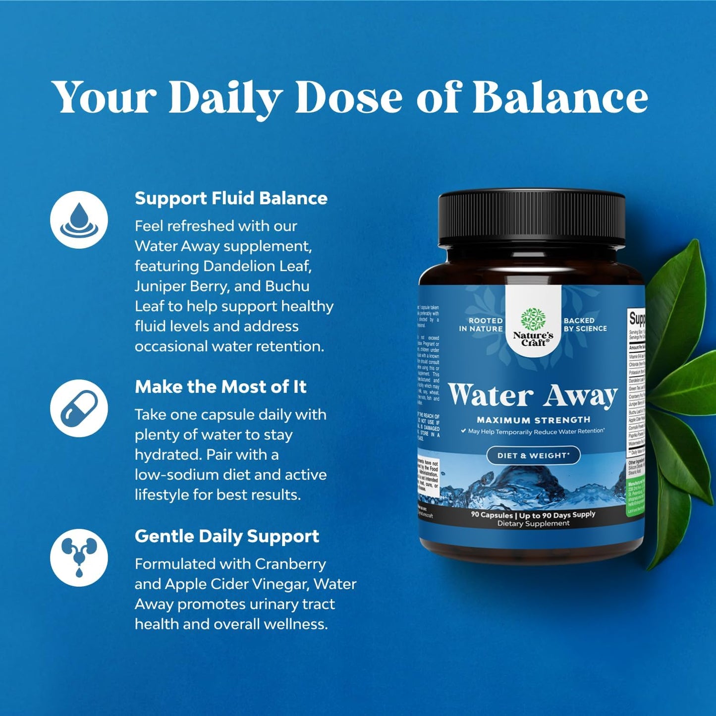 Maximum Strength Herbal Diuretic Water Away Pills for Fast Bloating Relief - 60 Servings for Men and Women - Easy to Take