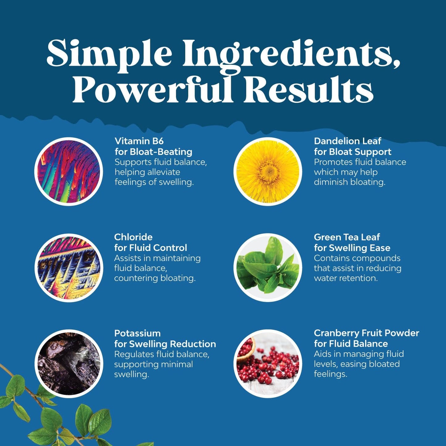 Maximum Strength Herbal Diuretic Water Away Pills for Fast Bloating Relief - 60 Servings for Men and Women - Easy to Take