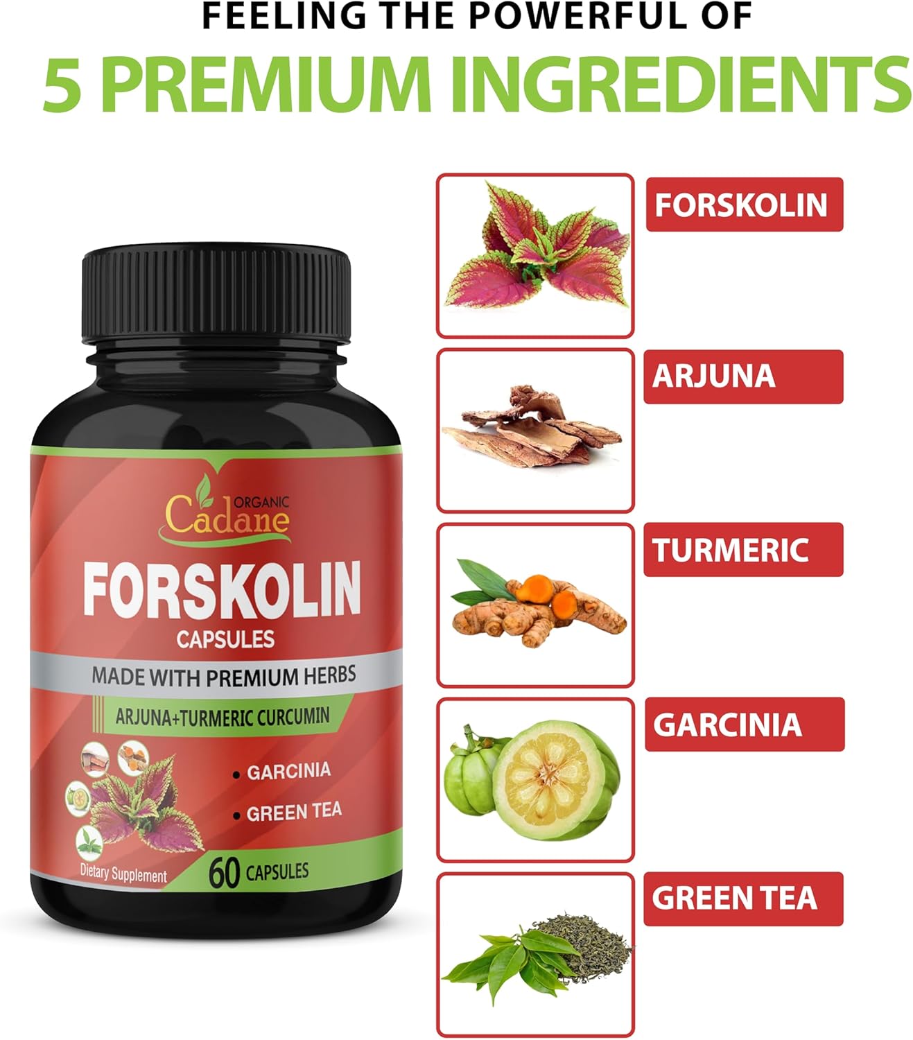 Maximum Strength Organic Cadane Forskolin Capsules with Turmeric, Arjuna, Garcinia Cambogia & Green Tea - Immune System Support - 60 Capsules, 2 Month Supply