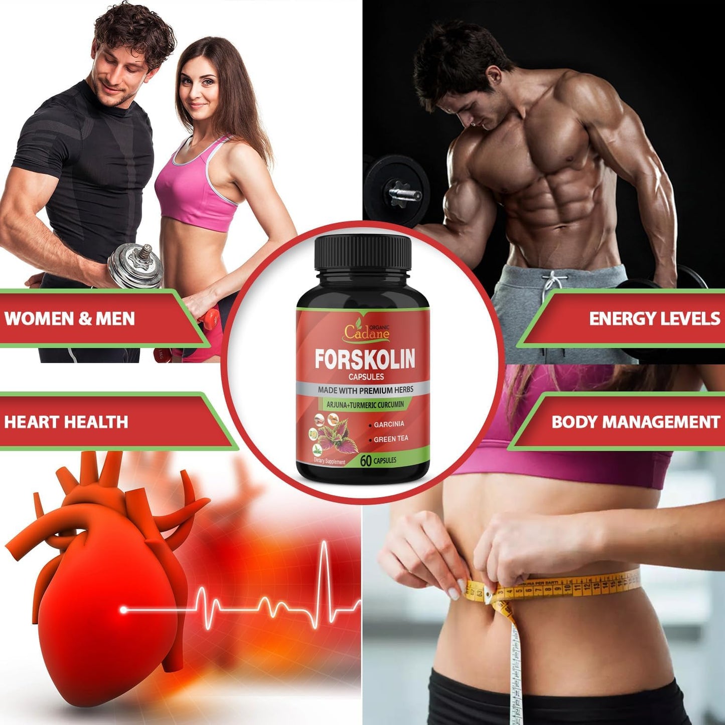 Maximum Strength Organic Cadane Forskolin Capsules with Turmeric, Arjuna, Garcinia Cambogia & Green Tea - Immune System Support - 60 Capsules, 2 Month Supply