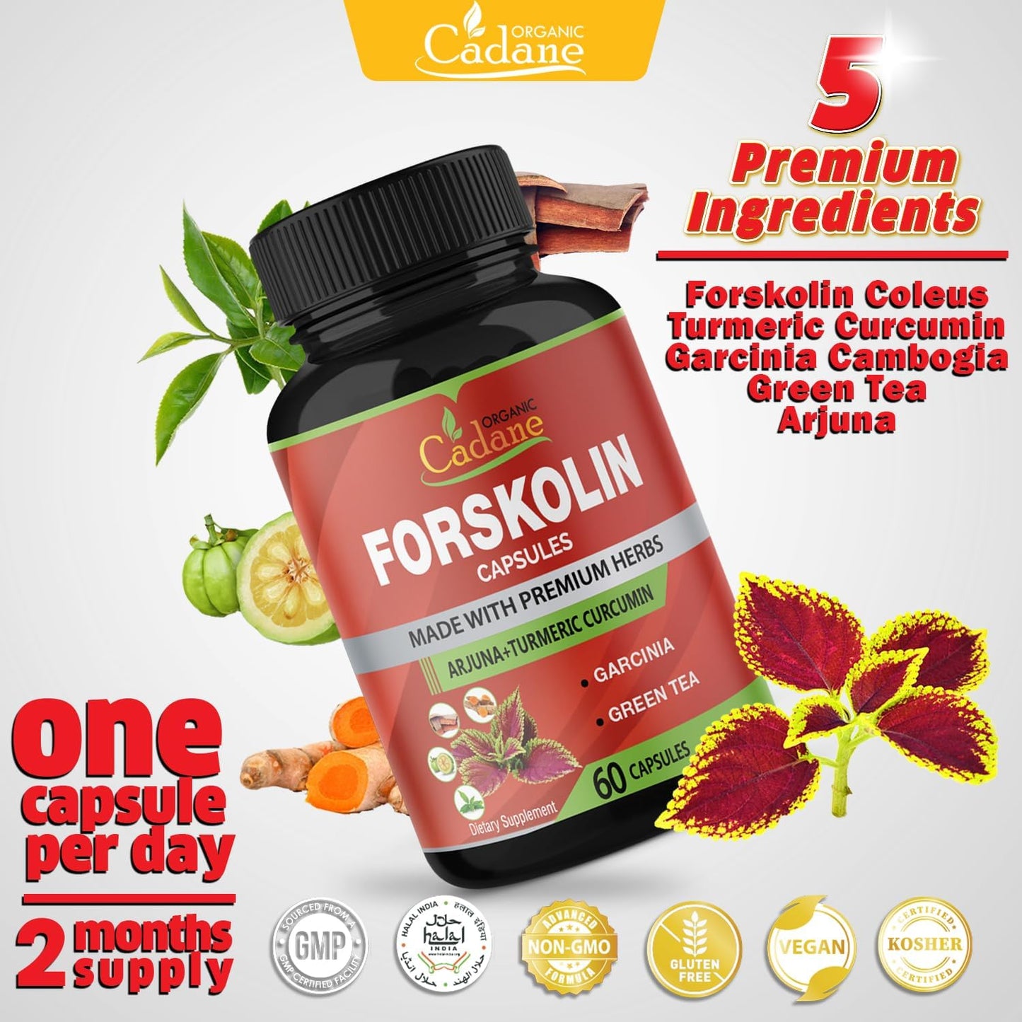 Maximum Strength Organic Cadane Forskolin Capsules with Turmeric, Arjuna, Garcinia Cambogia & Green Tea - Immune System Support - 60 Capsules, 2 Month Supply