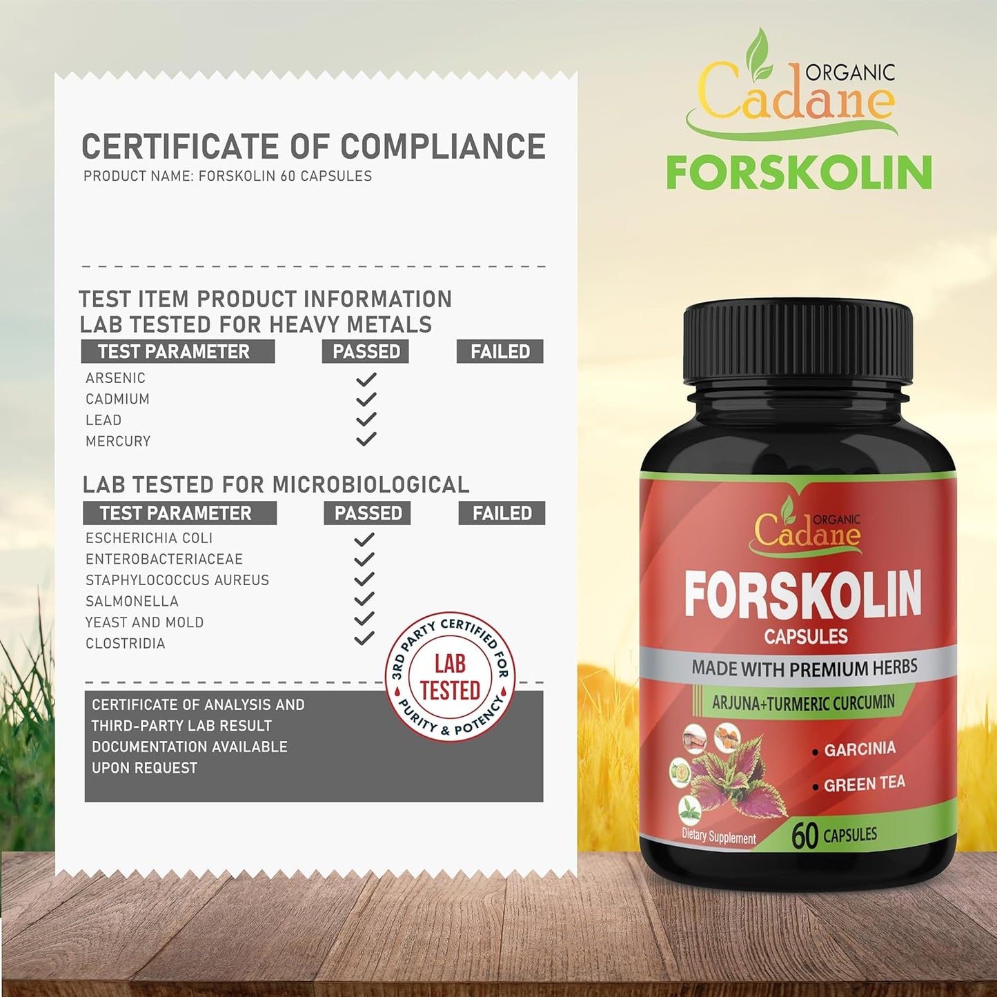 Maximum Strength Organic Cadane Forskolin Capsules with Turmeric, Arjuna, Garcinia Cambogia & Green Tea - Immune System Support - 60 Capsules, 2 Month Supply