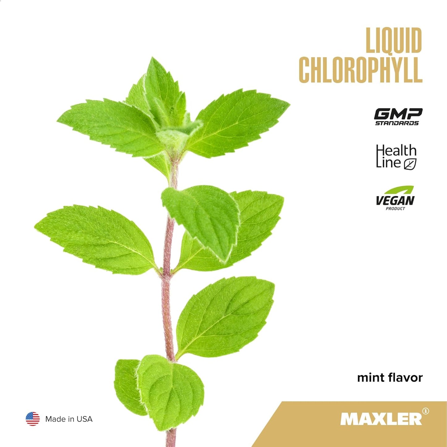 Maxler Liquid Chlorophyll Mint Flavor Supplement - Internal Deodorant for Body Odor & Bad Breath - Vegan Formula with 132mg Chlorophyllin per Serving - 15 Servings, 15.2 fl oz